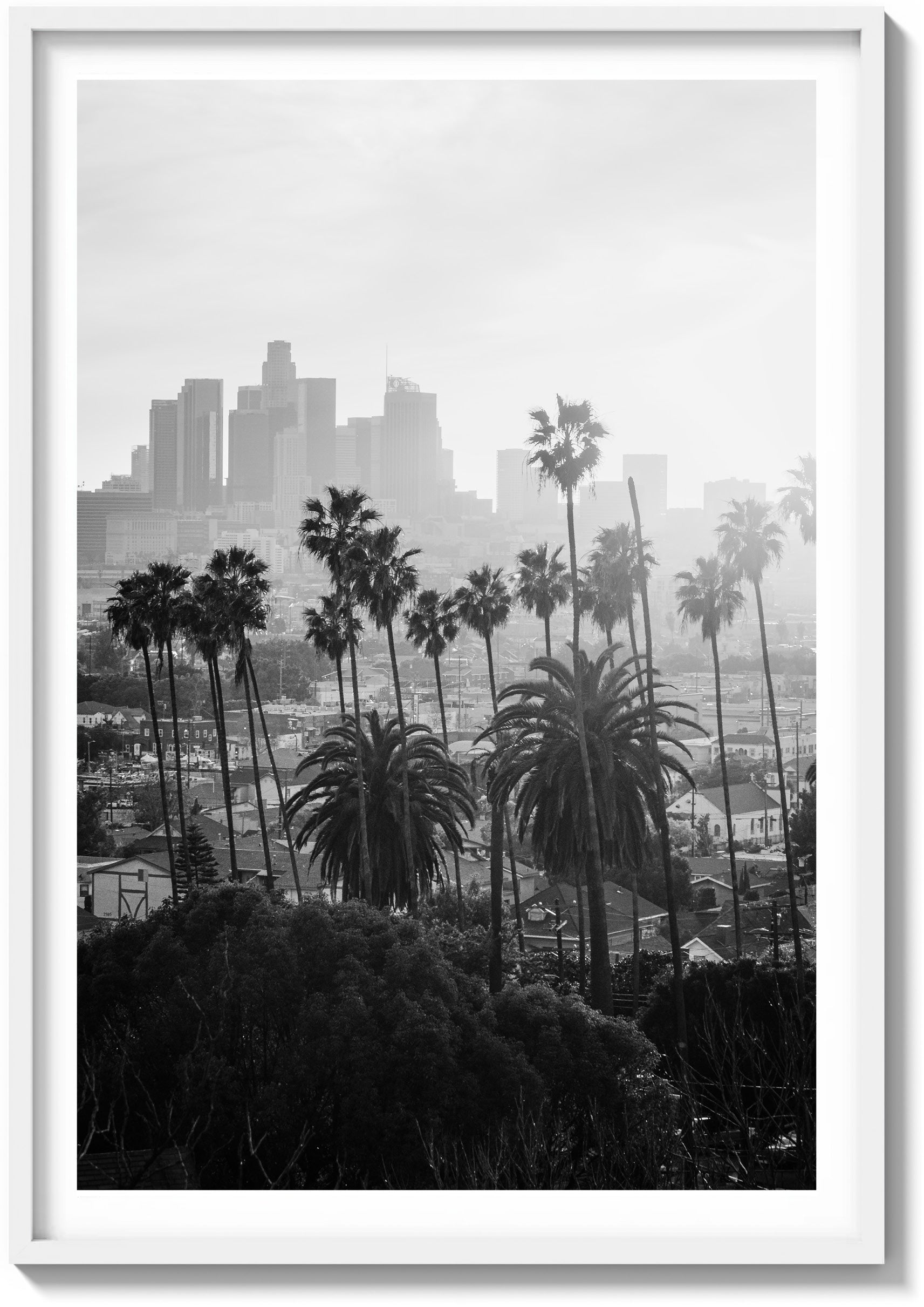 LA Haze