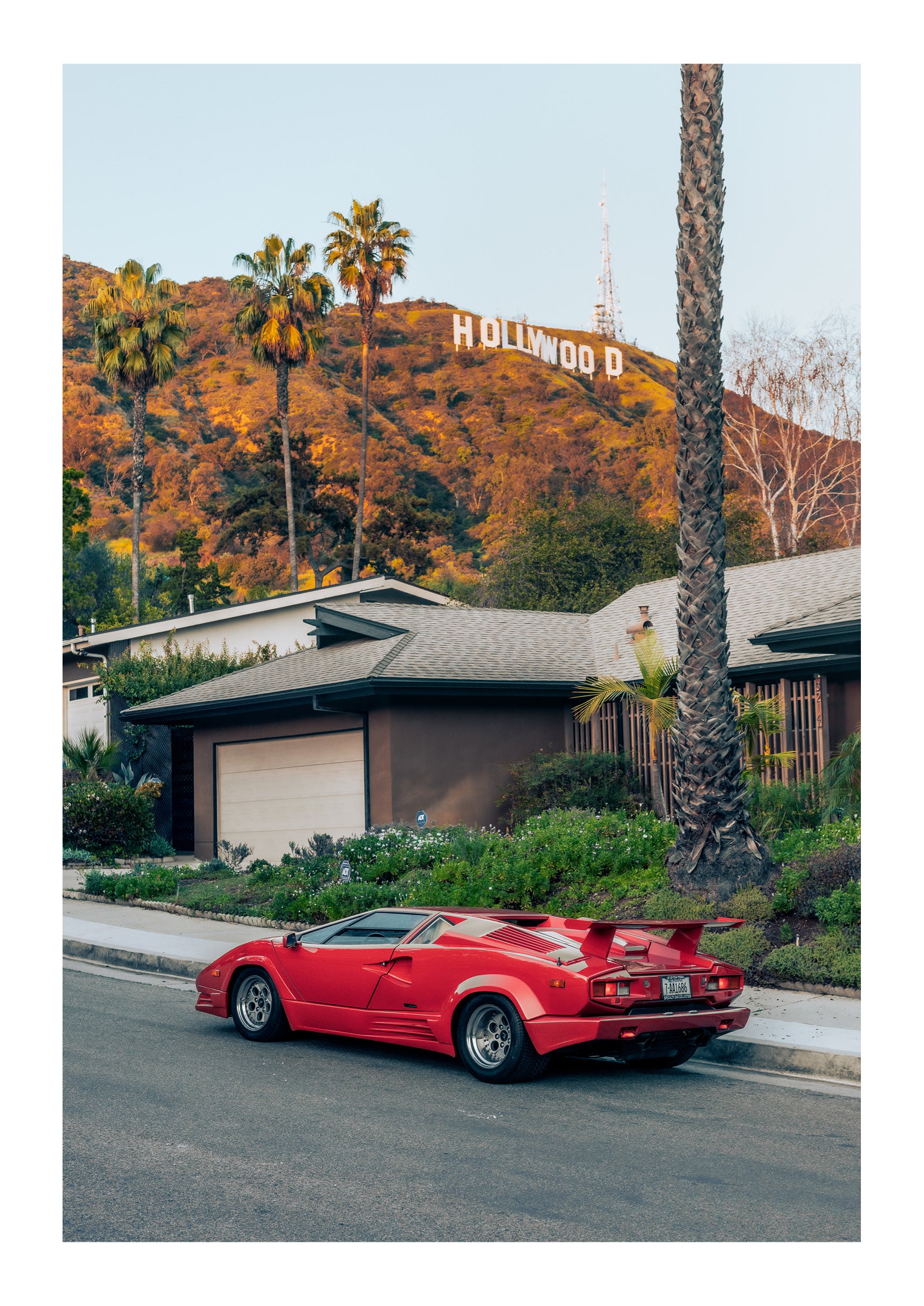 Hollywood Icon