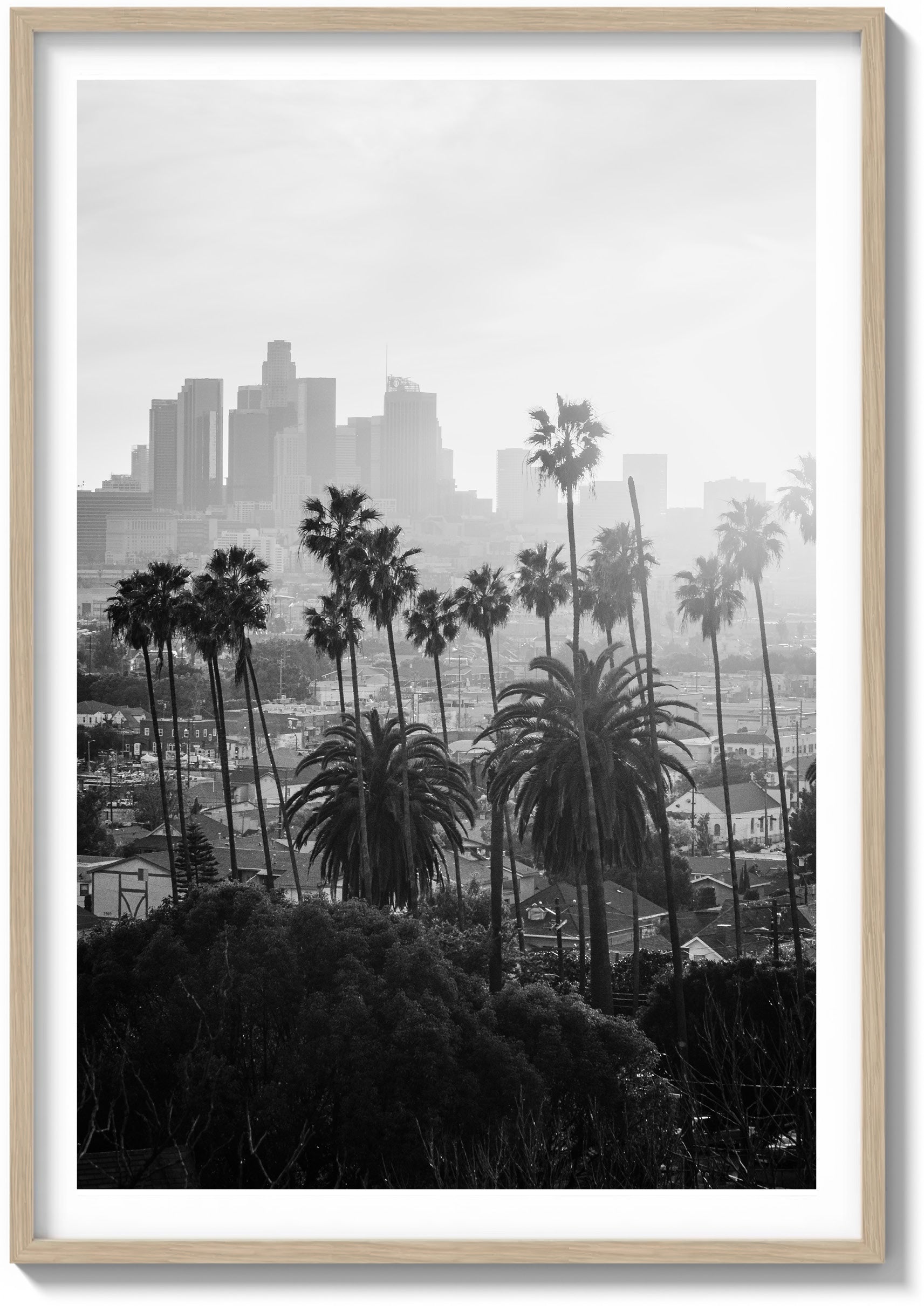 LA Haze