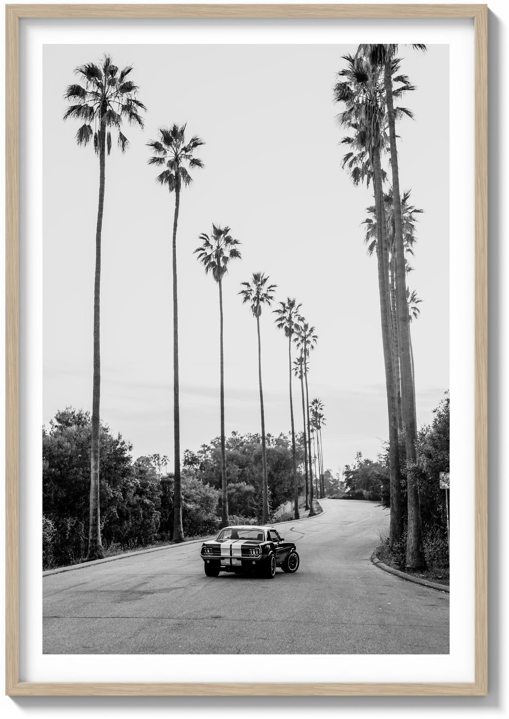 City of Angels