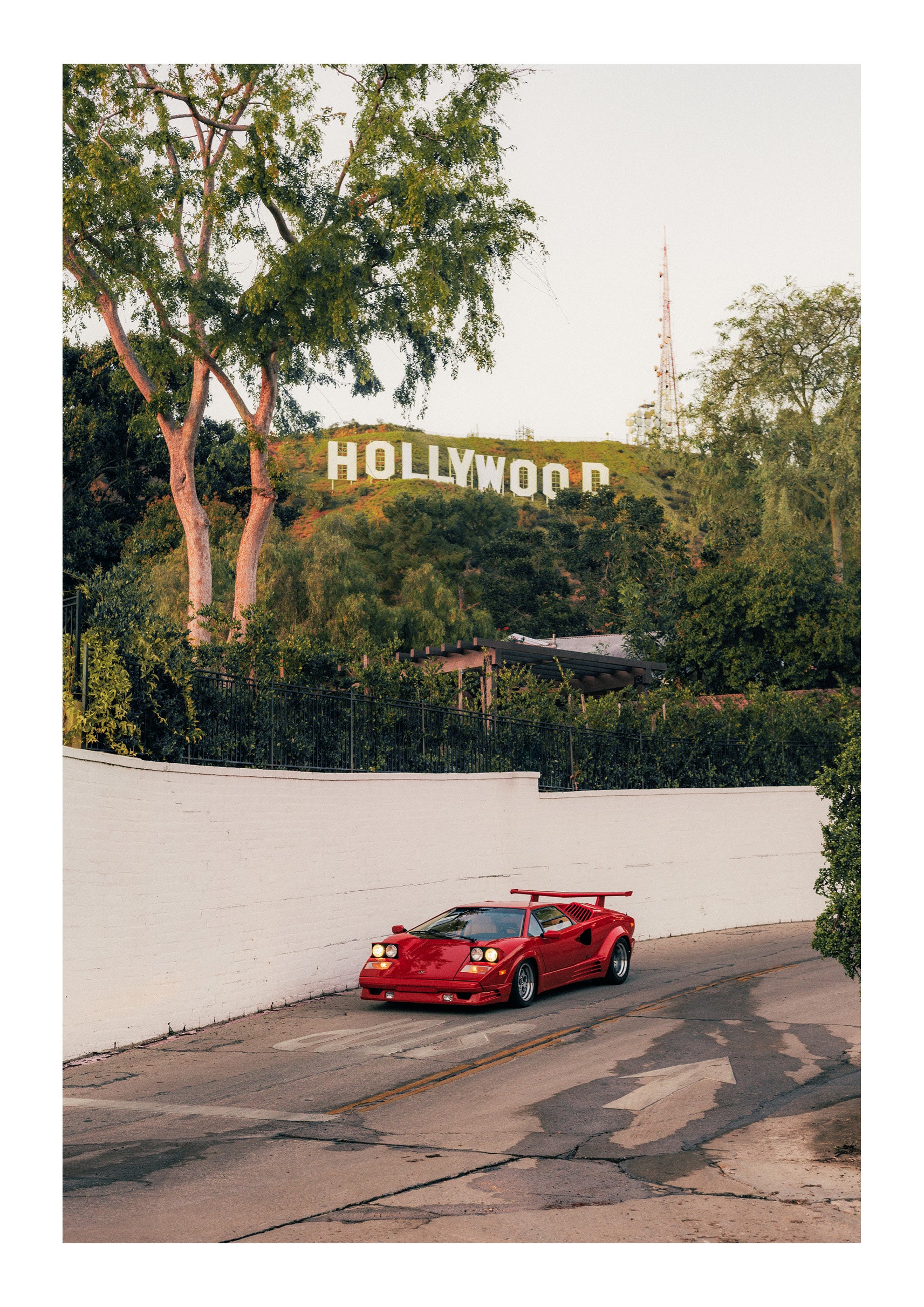 Hollywood Mogul