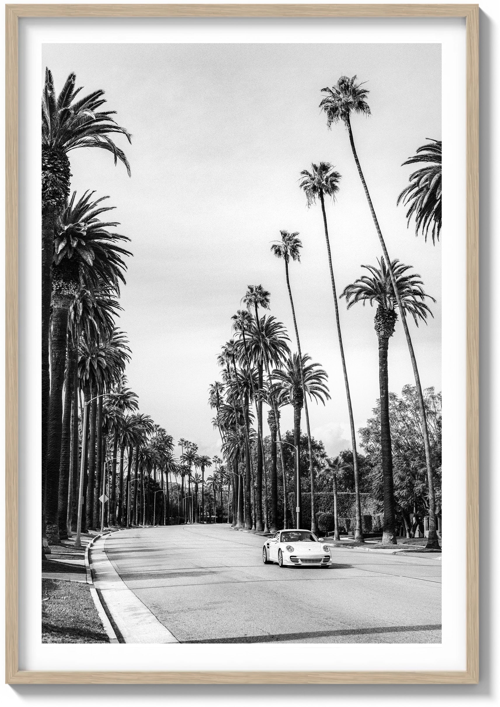 Between the Palms