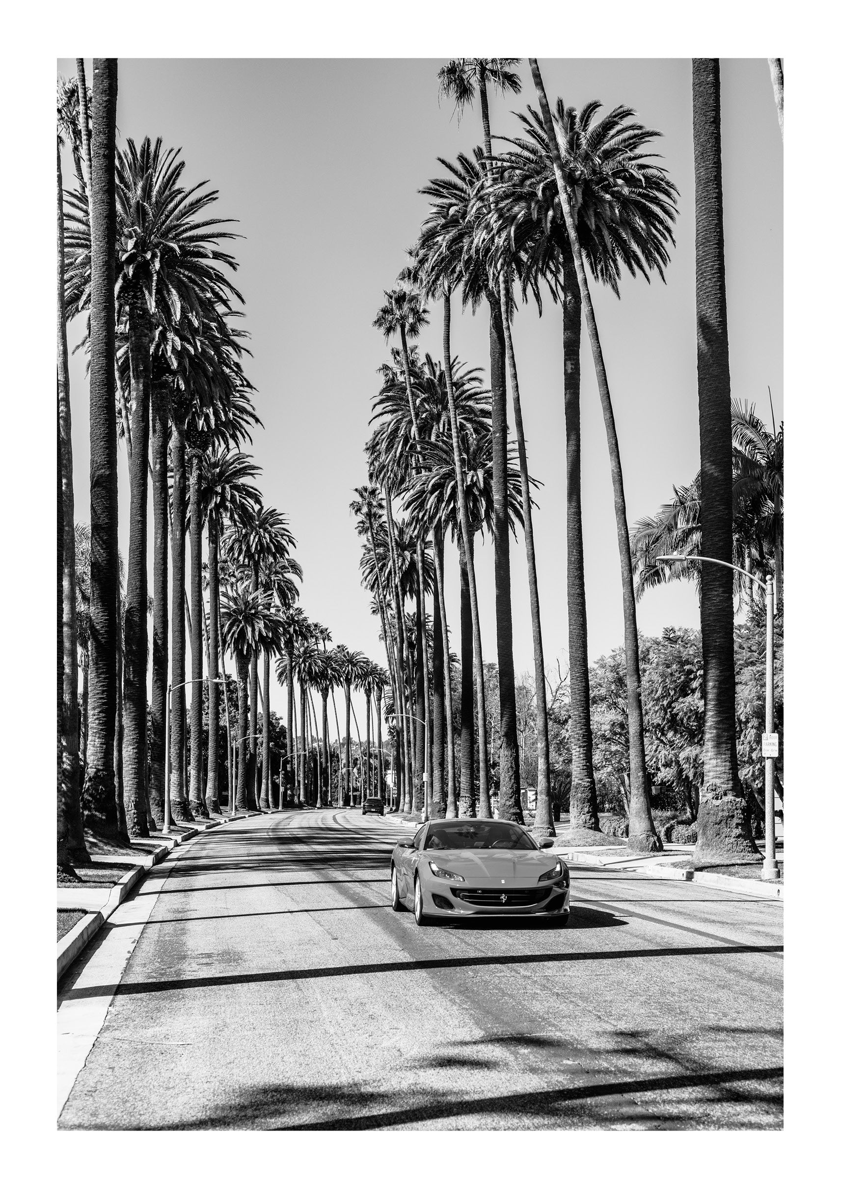 Beverly Hills Dream Ride
