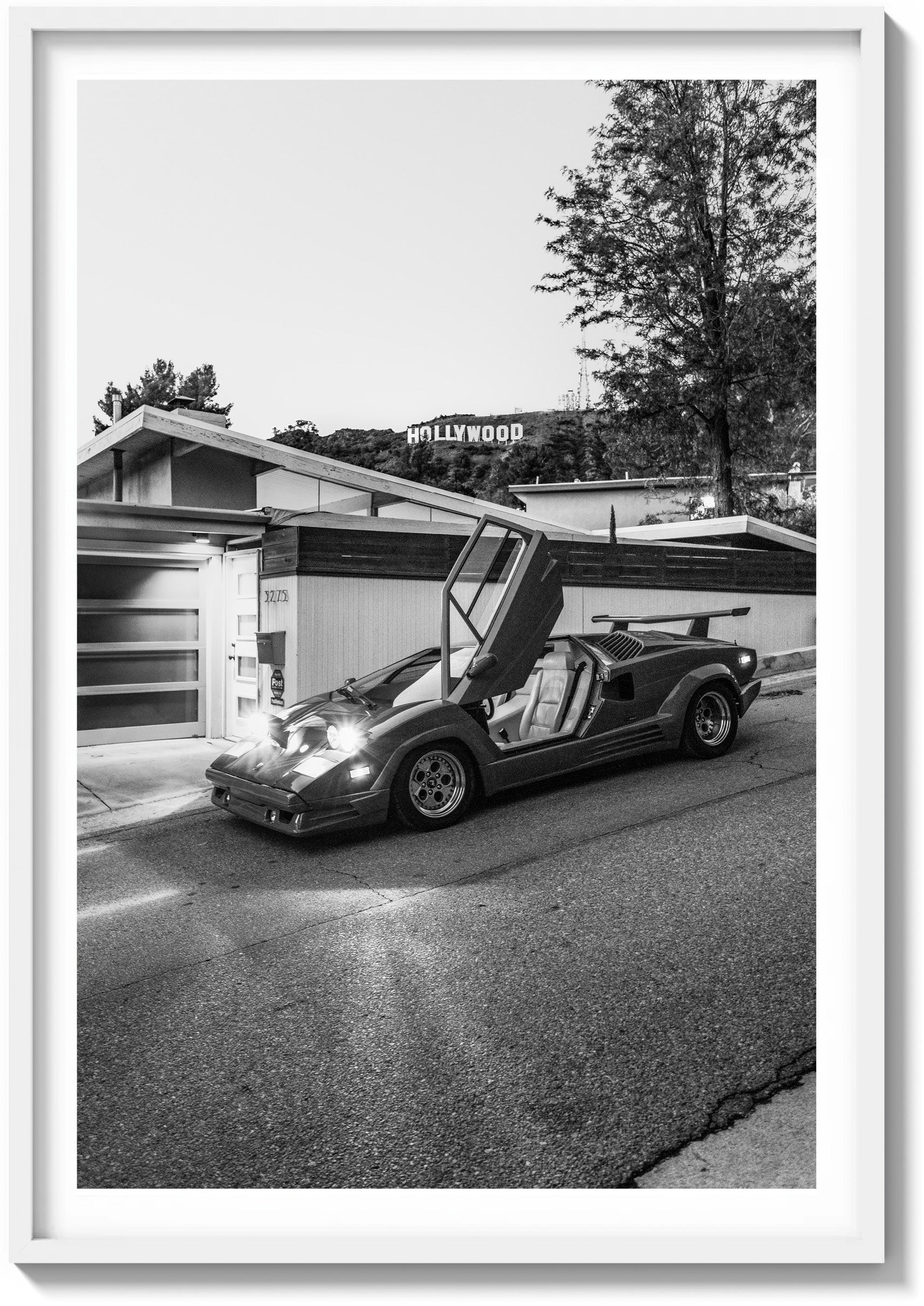 Evening Drive