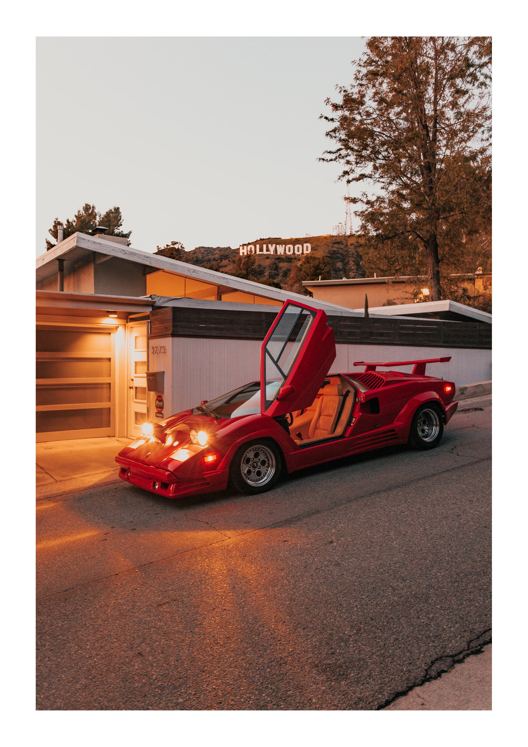 Evening Drive