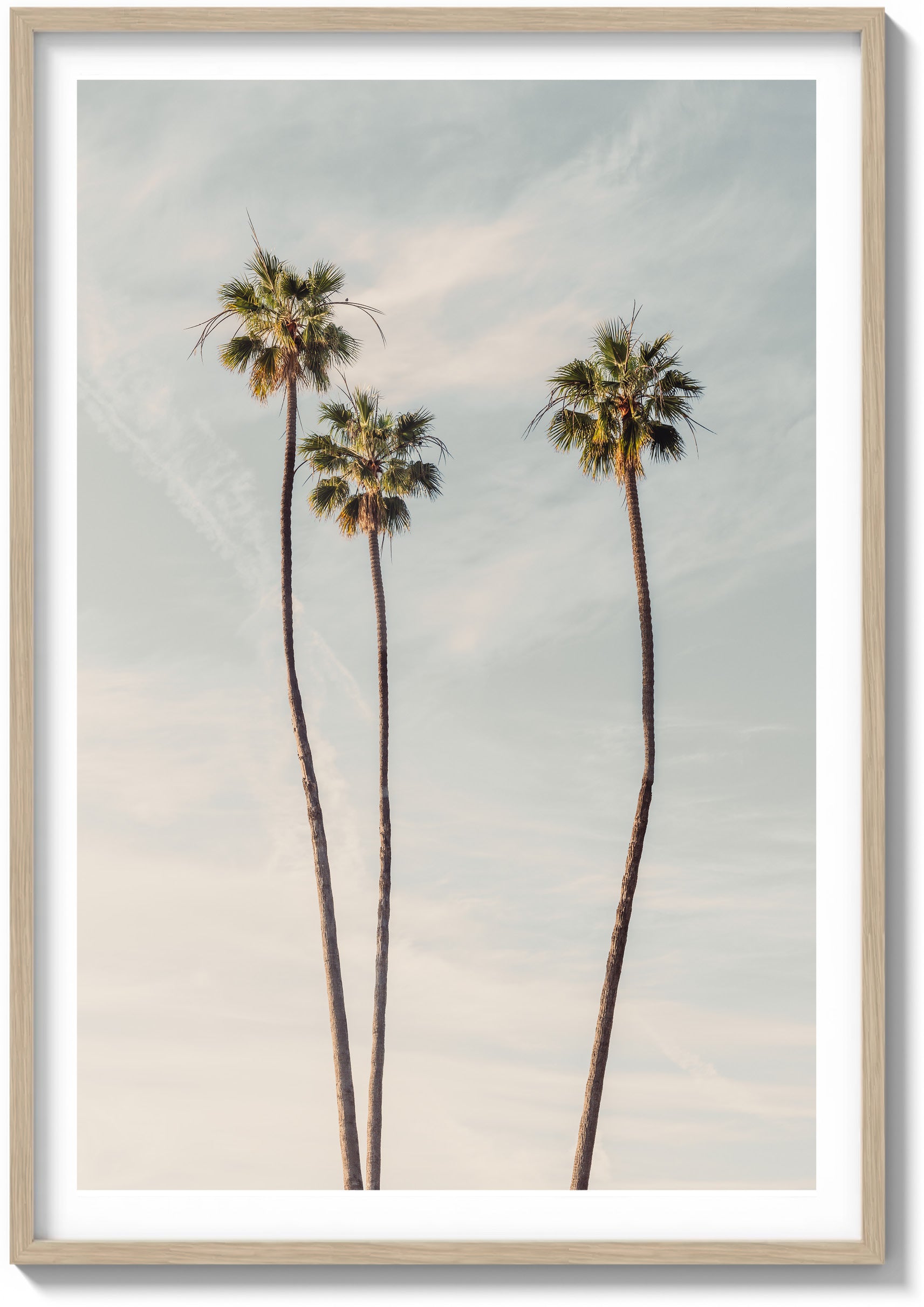 Icon of LA