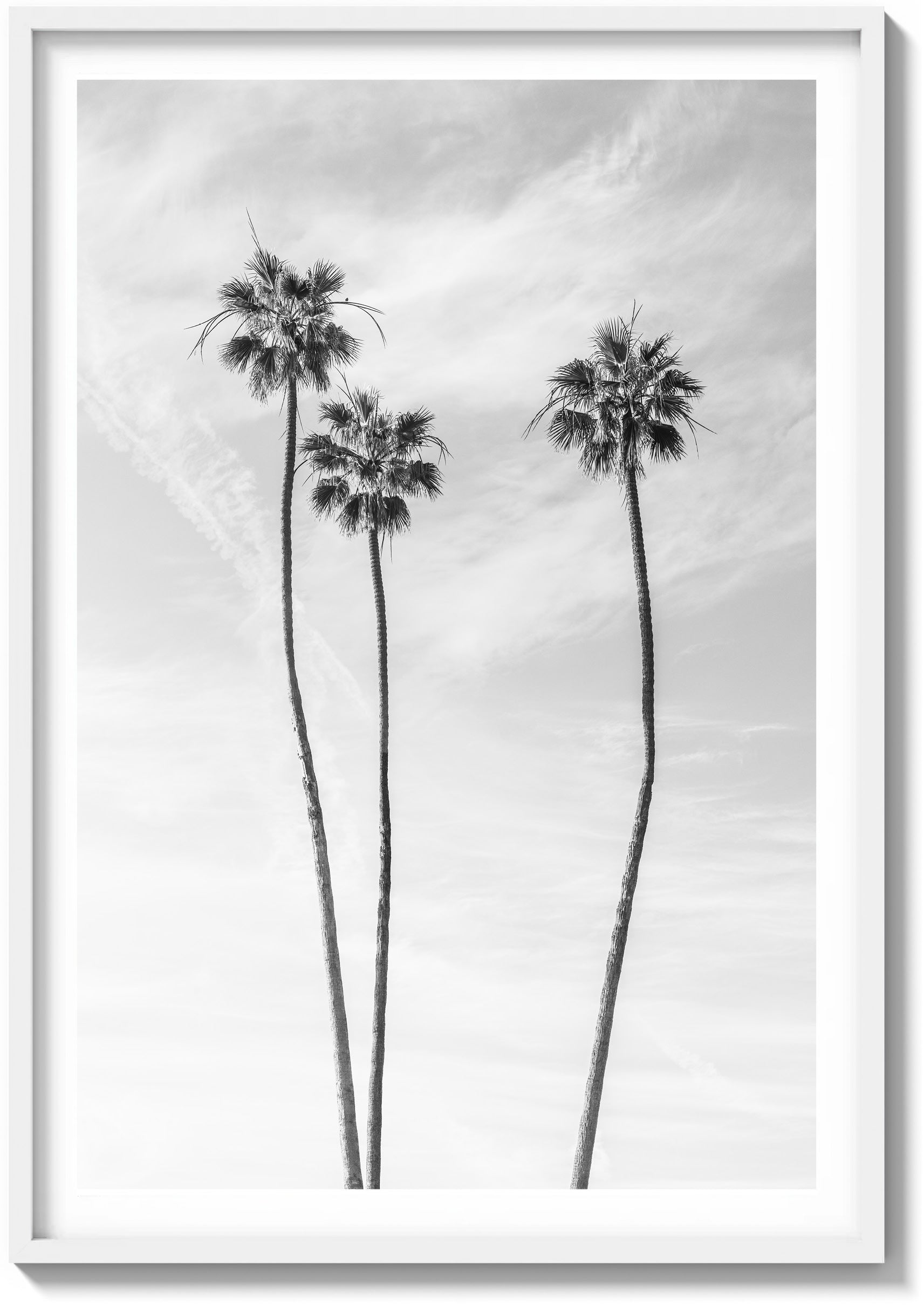 Icon of LA