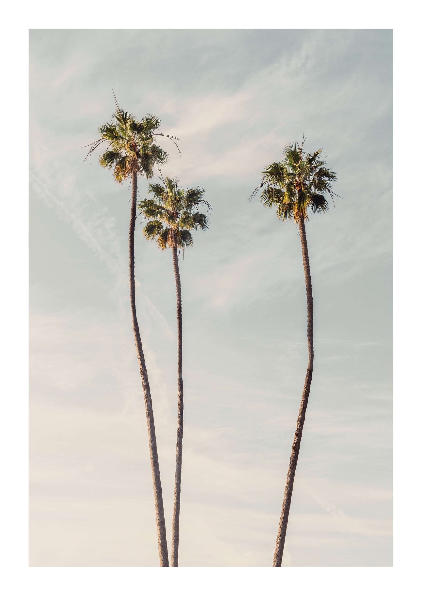 Icon of LA