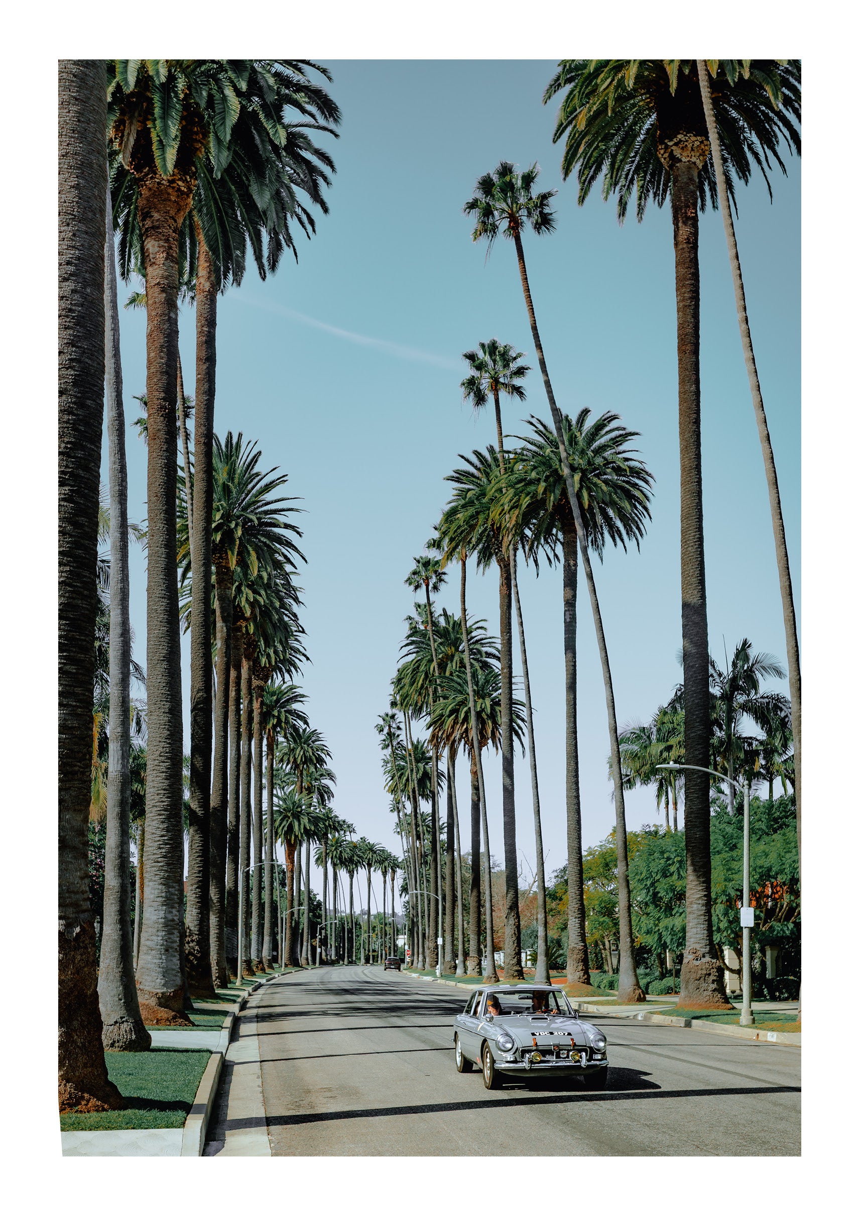 Riding the Palms