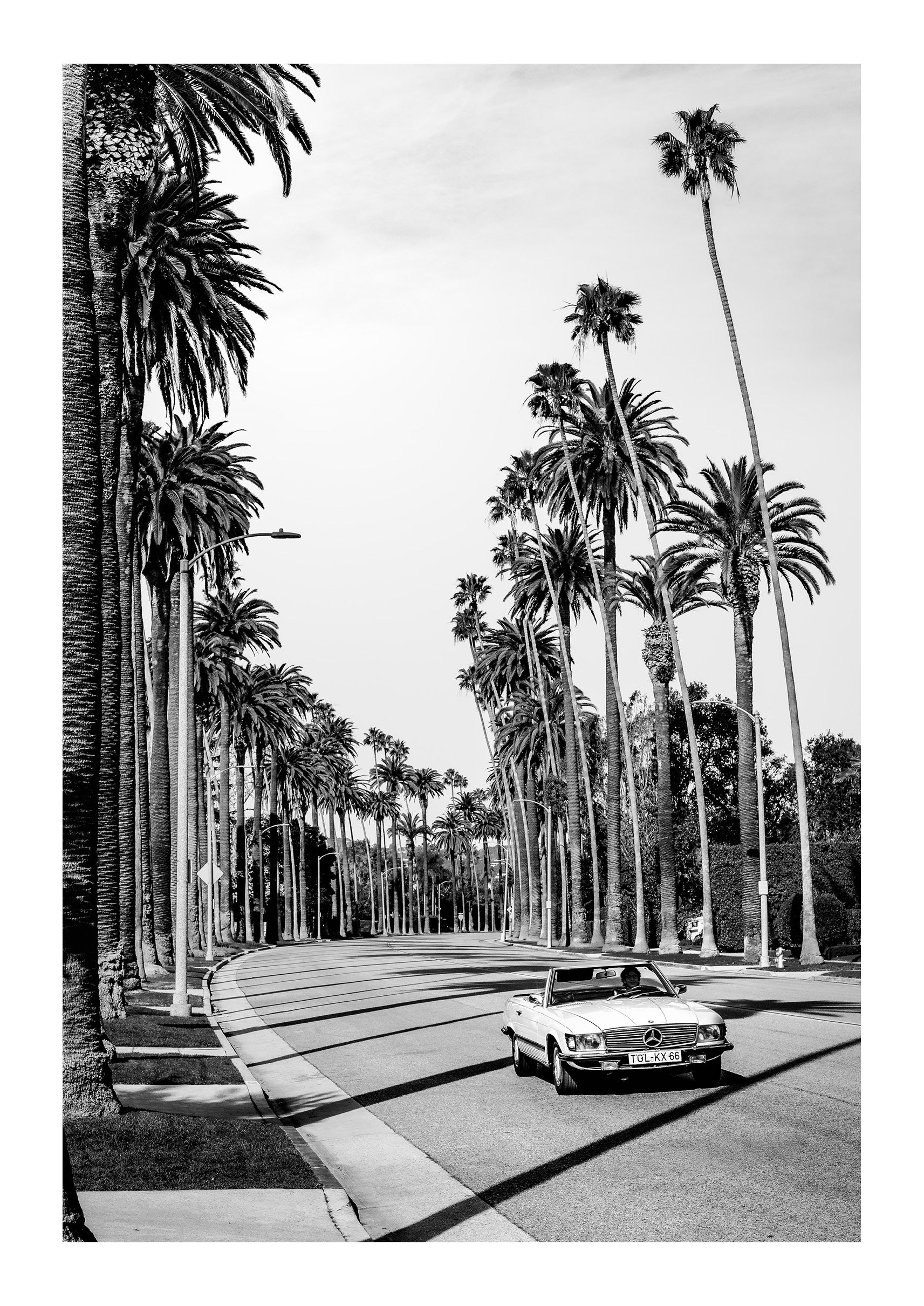 Beverly Thrills