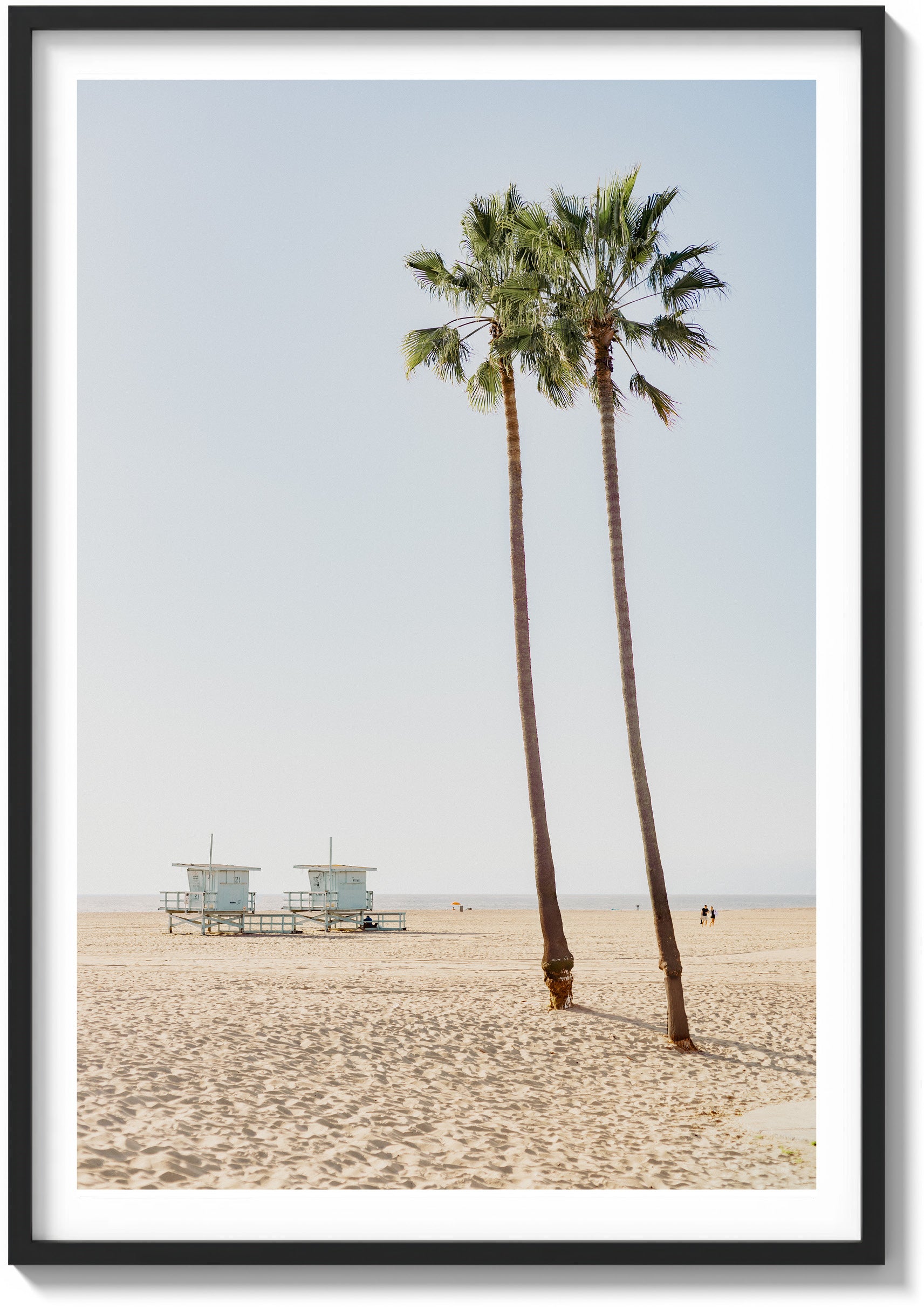 Lone Palms in Santa Monica