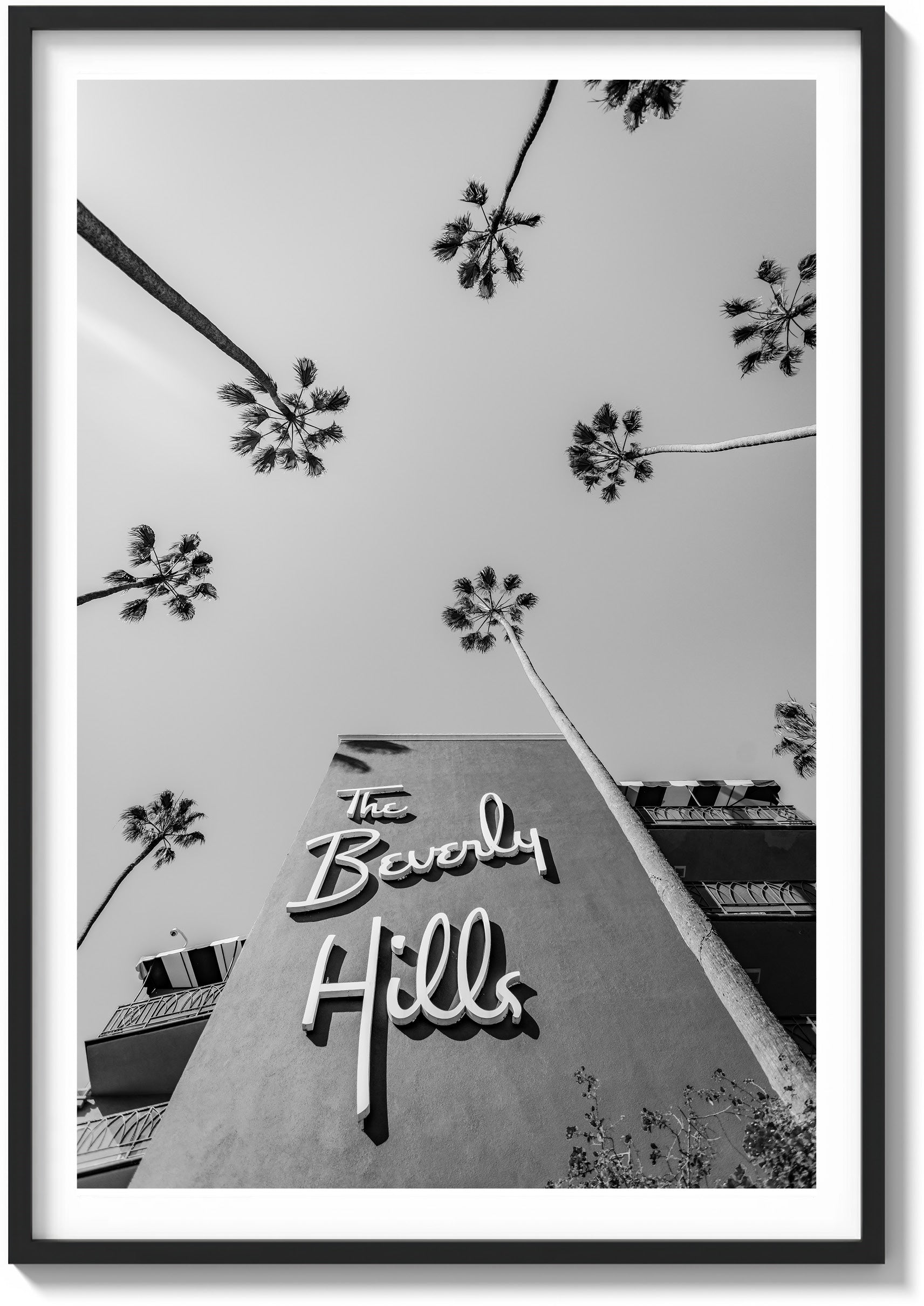 Welcome to Beverly Hills