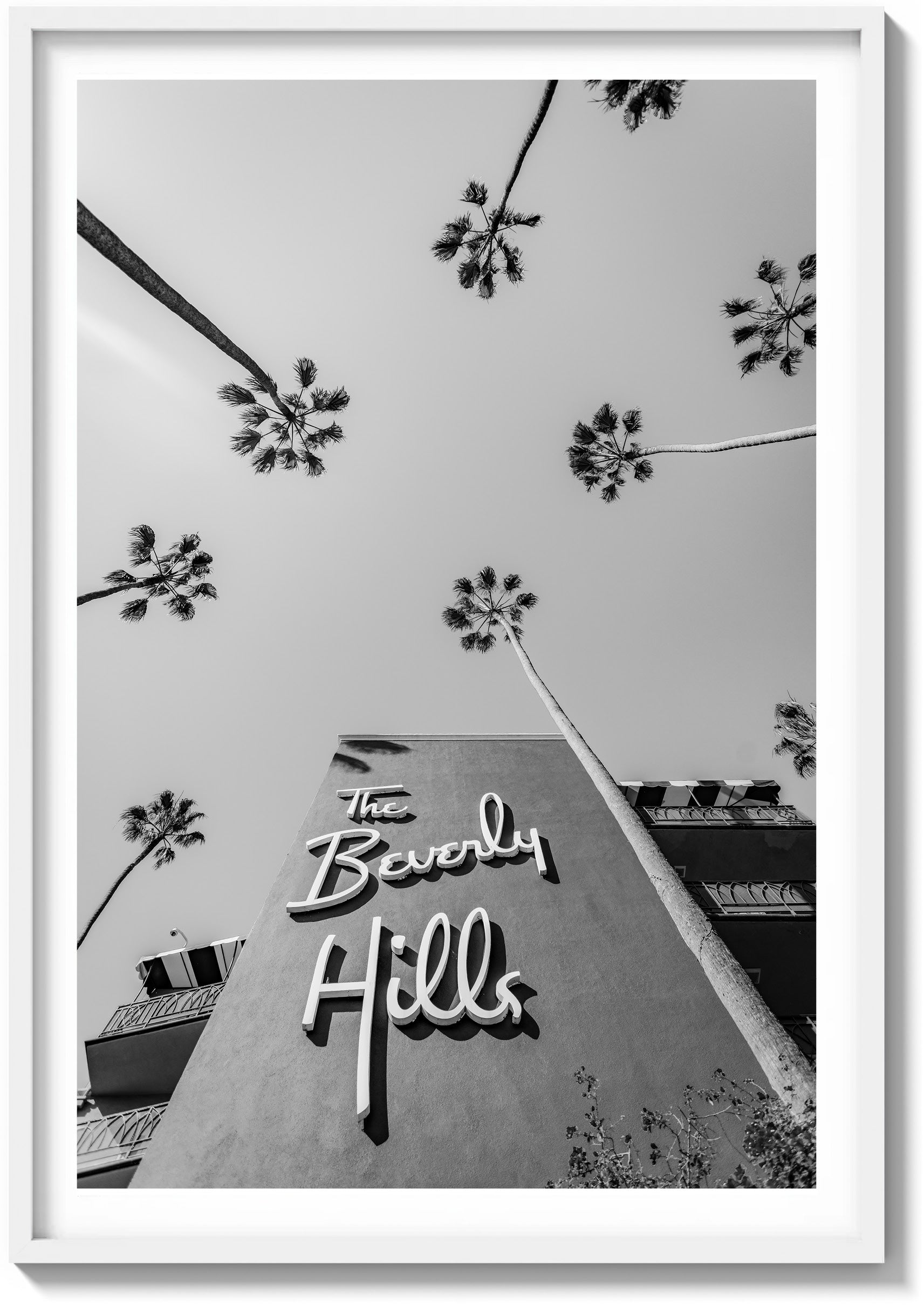 Welcome to Beverly Hills