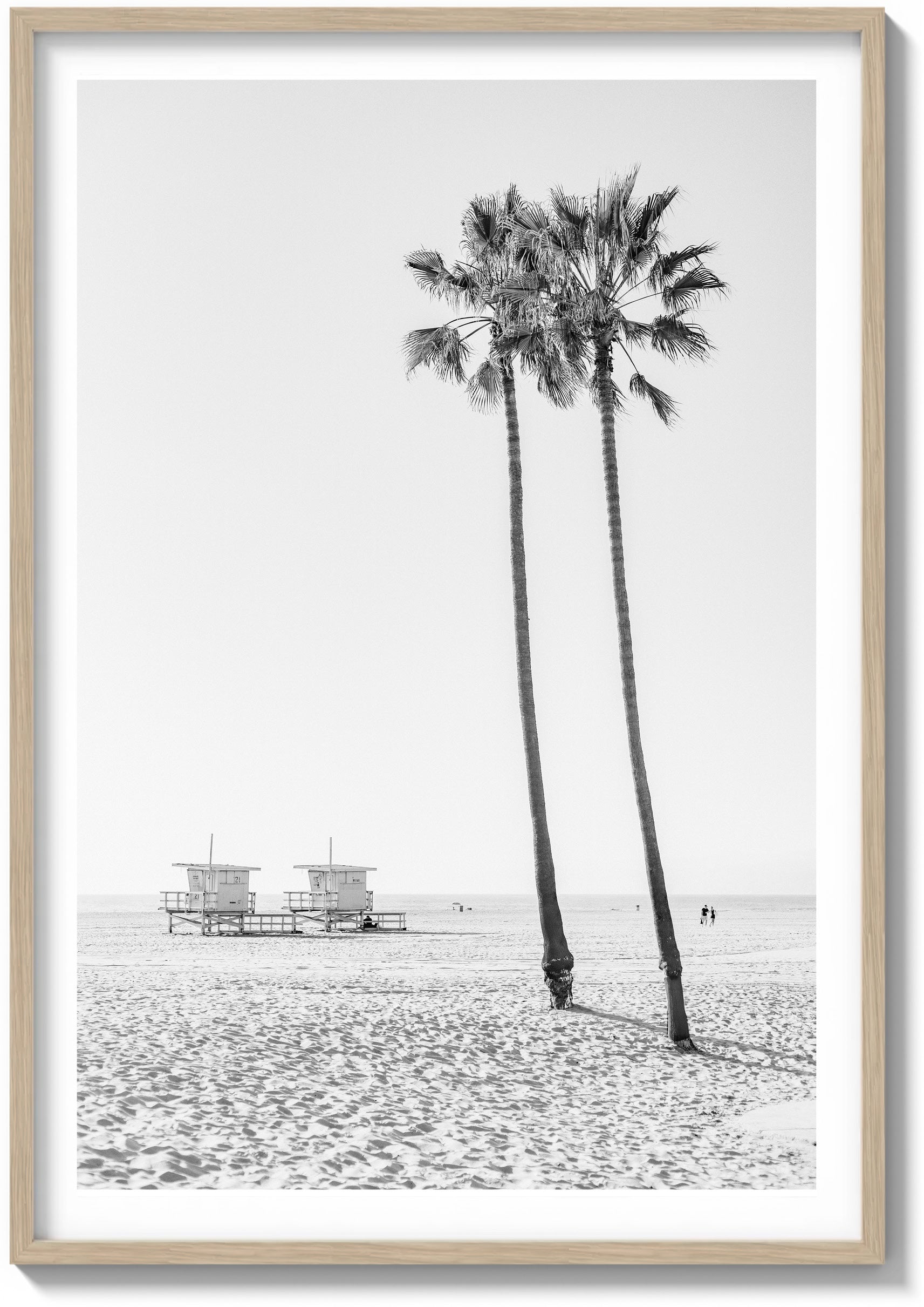 Lone Palms in Santa Monica