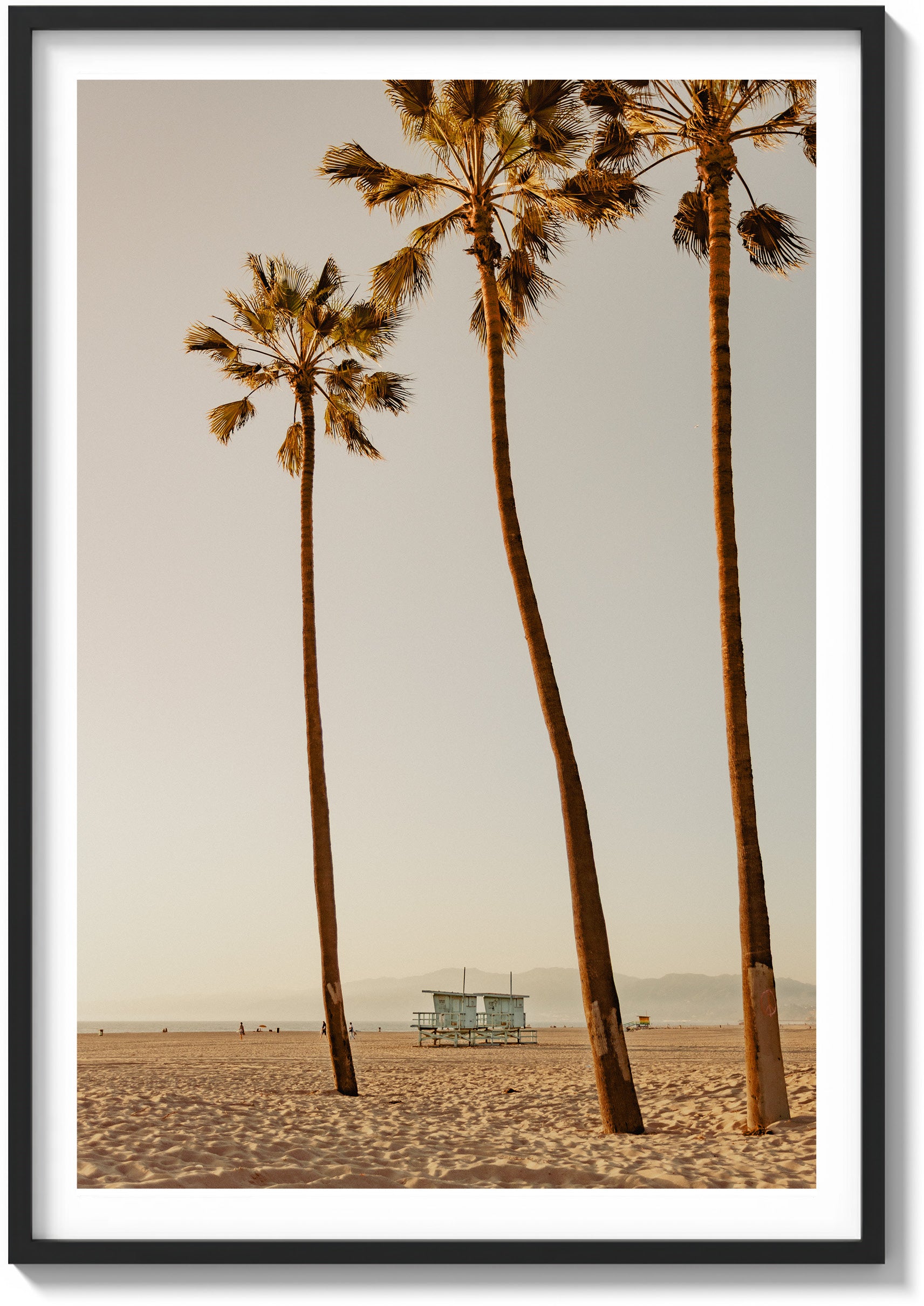 Santa Monica Serenity