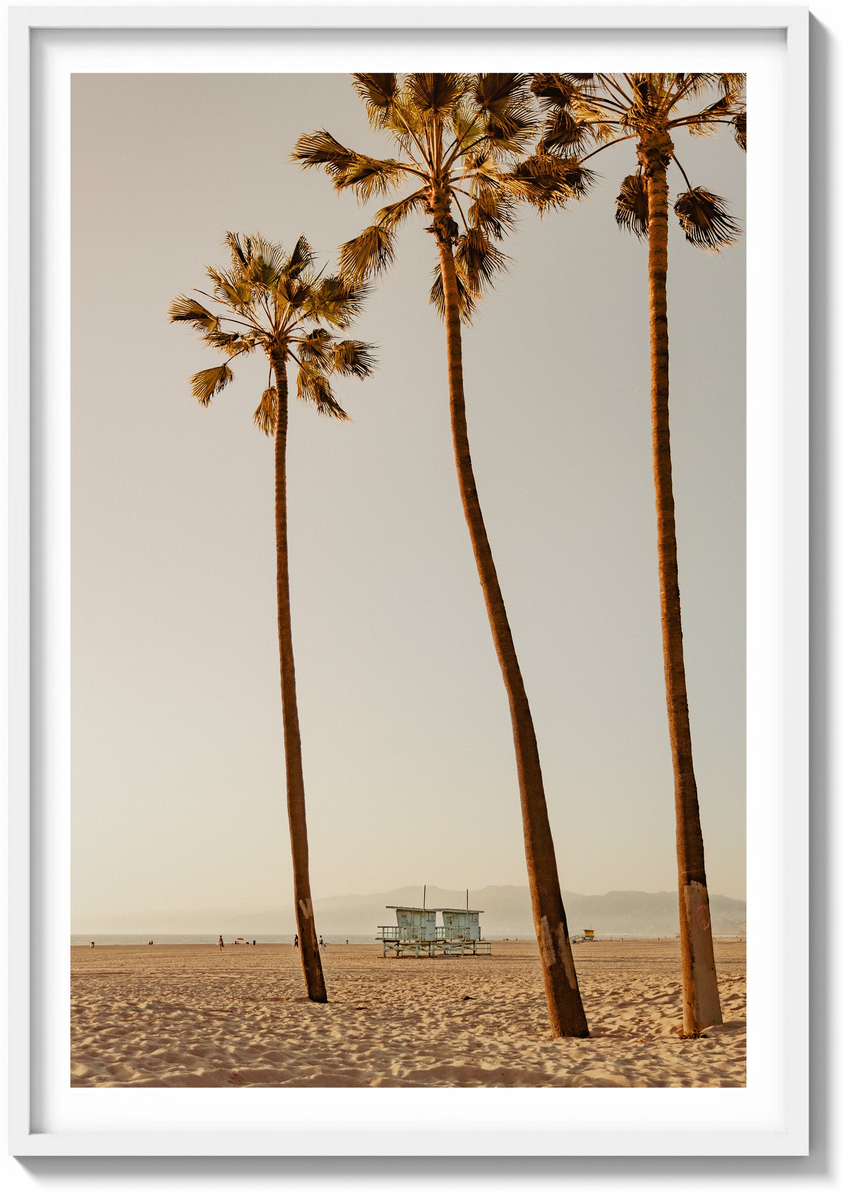 Santa Monica Serenity