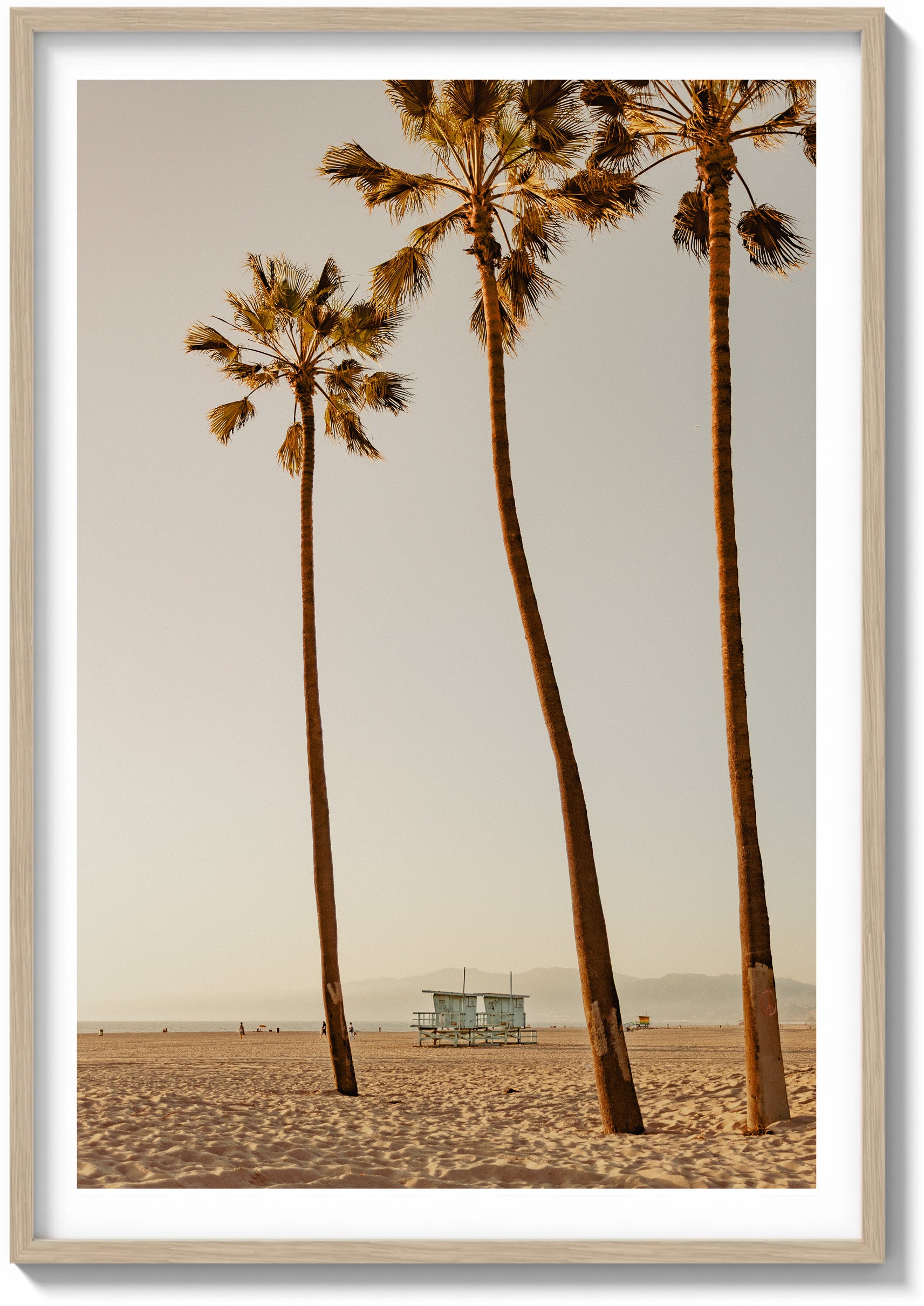 Santa Monica Serenity