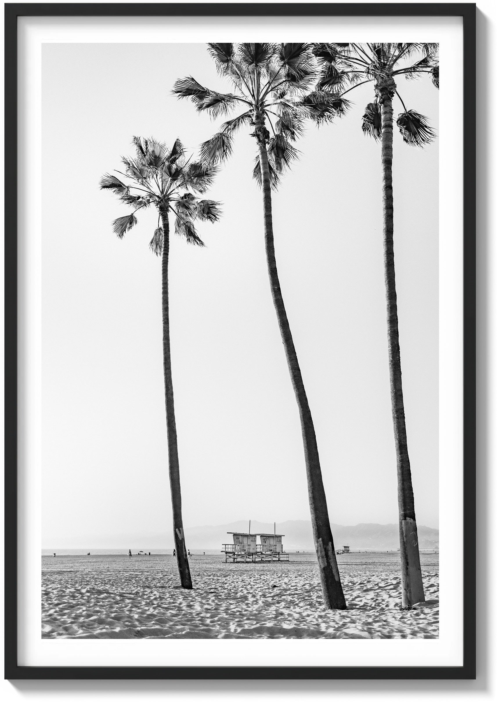 Santa Monica Serenity