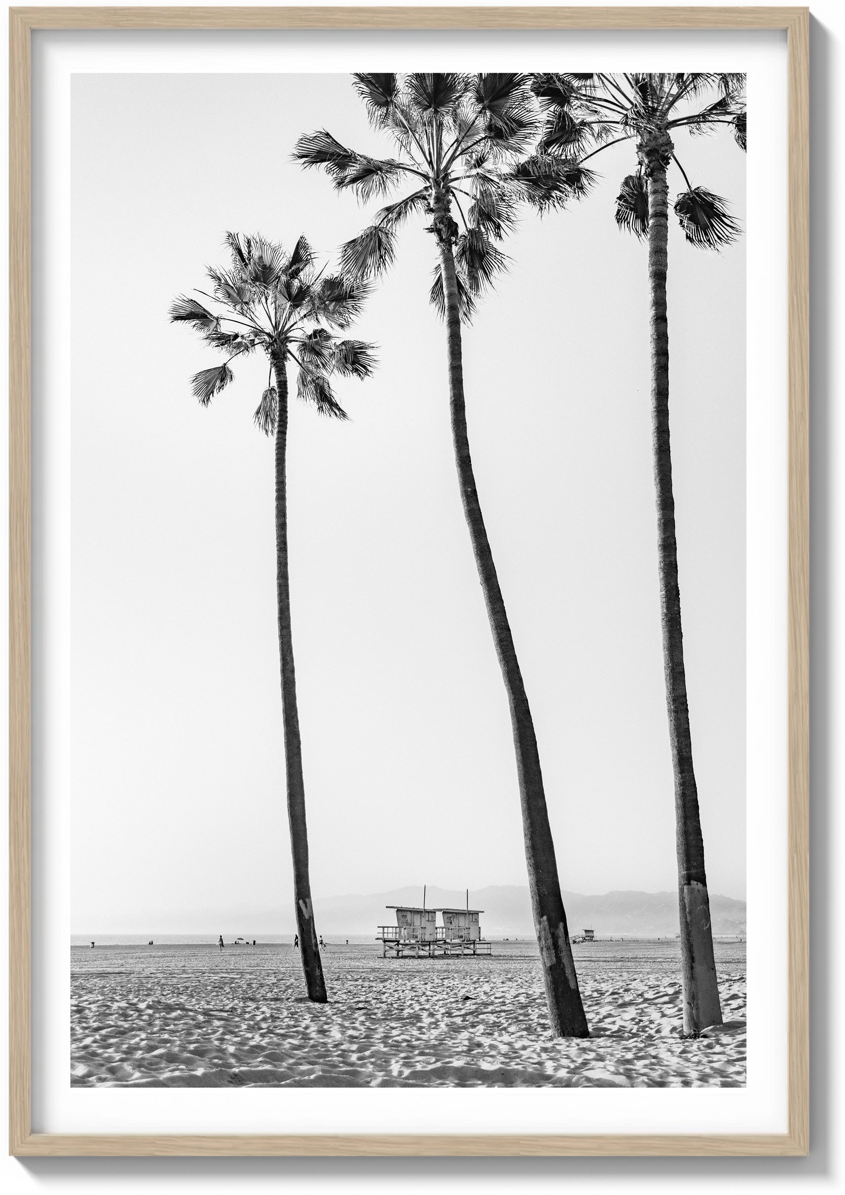 Santa Monica Serenity