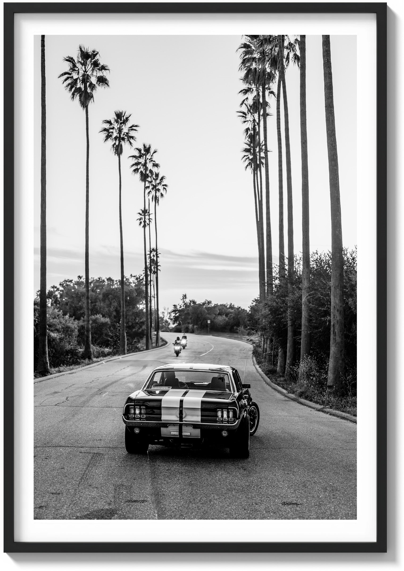 All-American Muscle