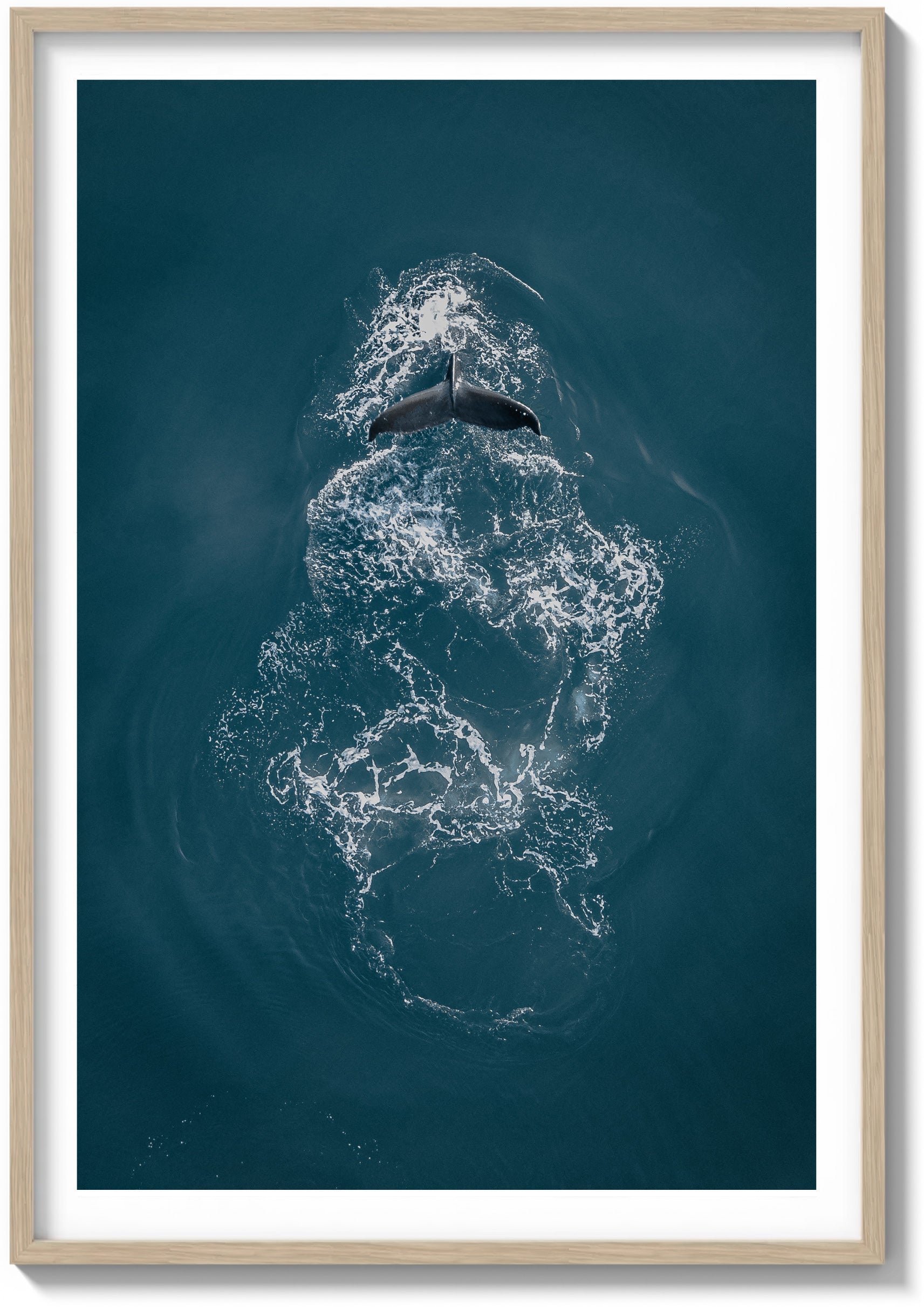 Ephemeral Encounters in the Pacific