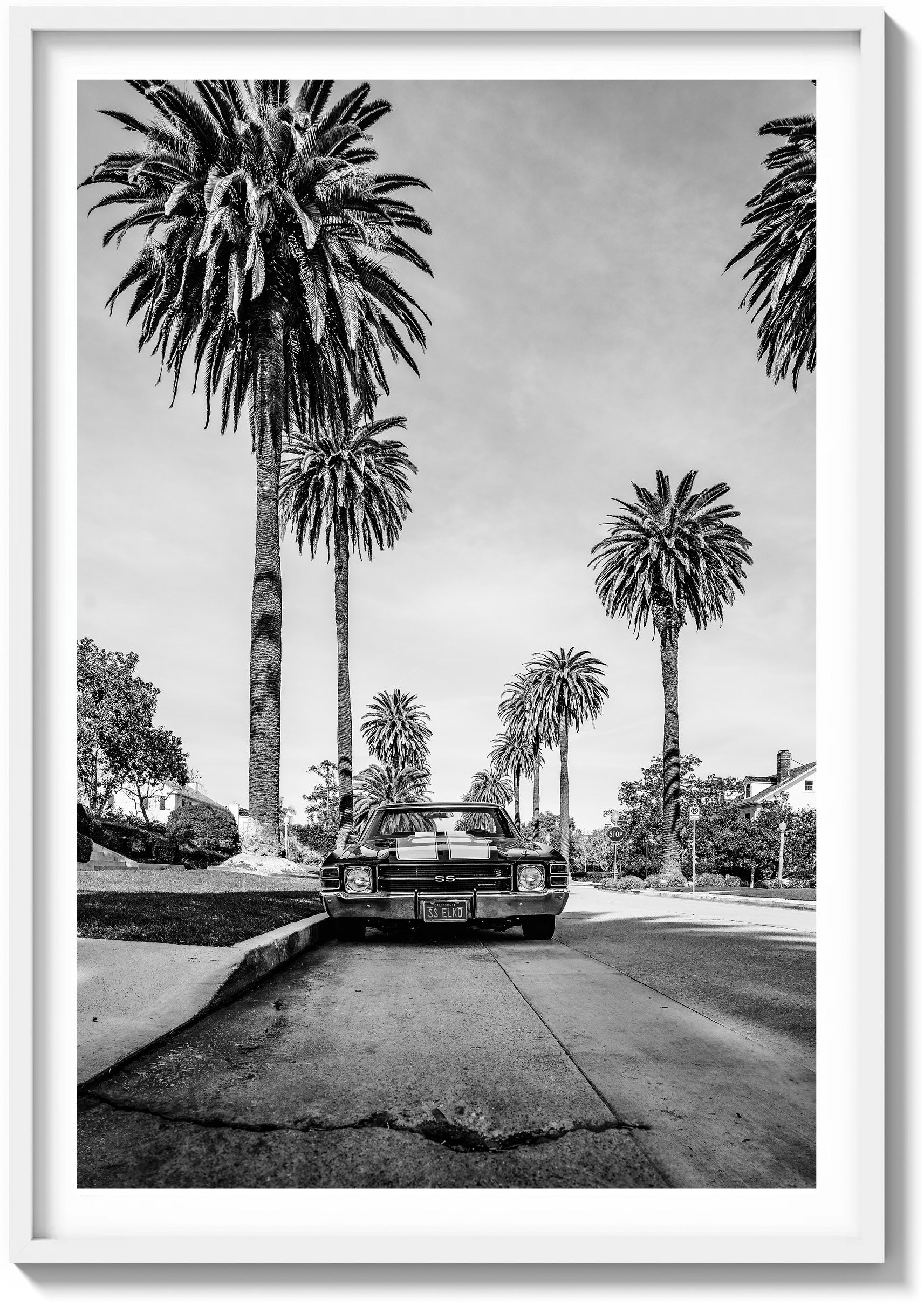 El Camino