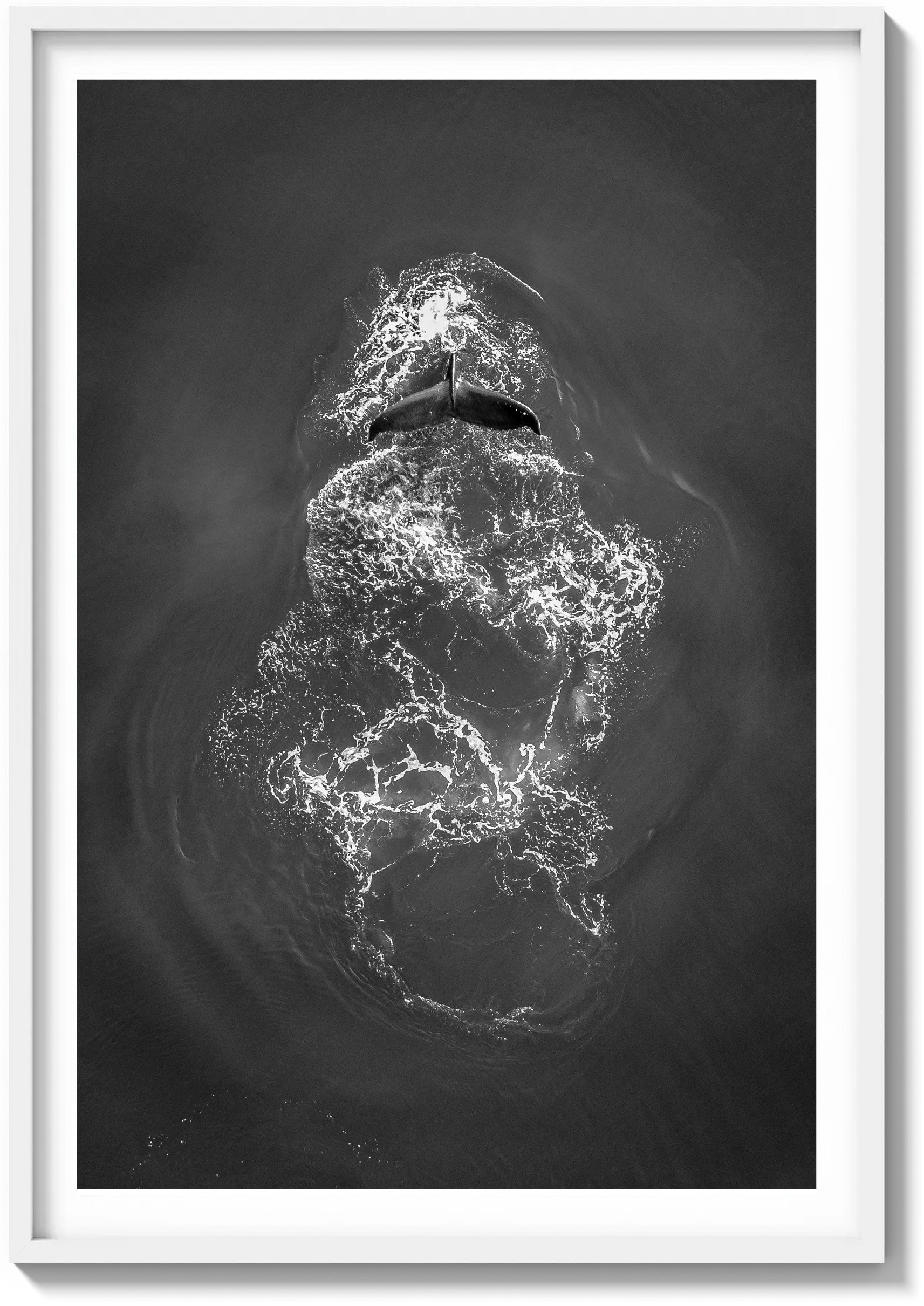 Ephemeral Encounters in the Pacific