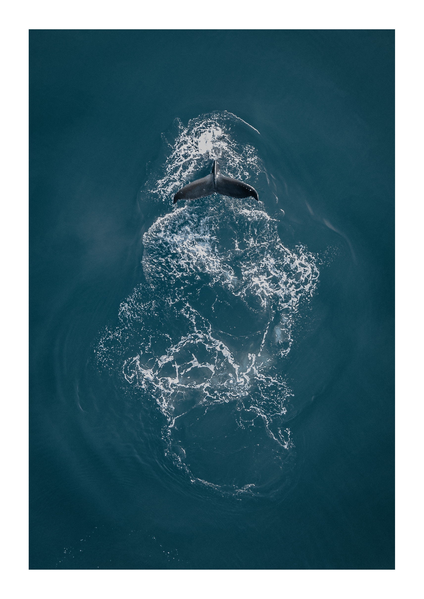 Ephemeral Encounters in the Pacific