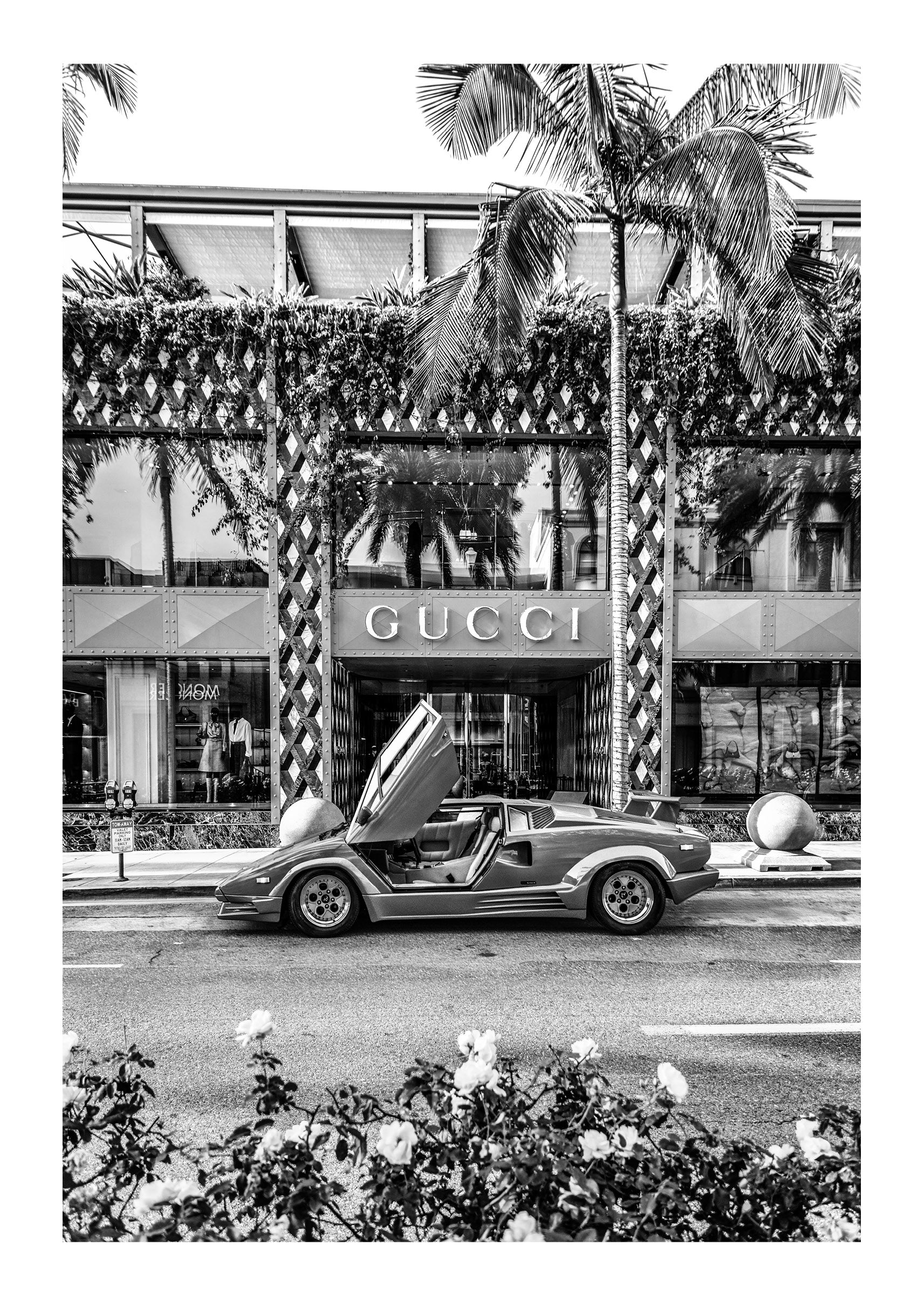 Rodeo Drive