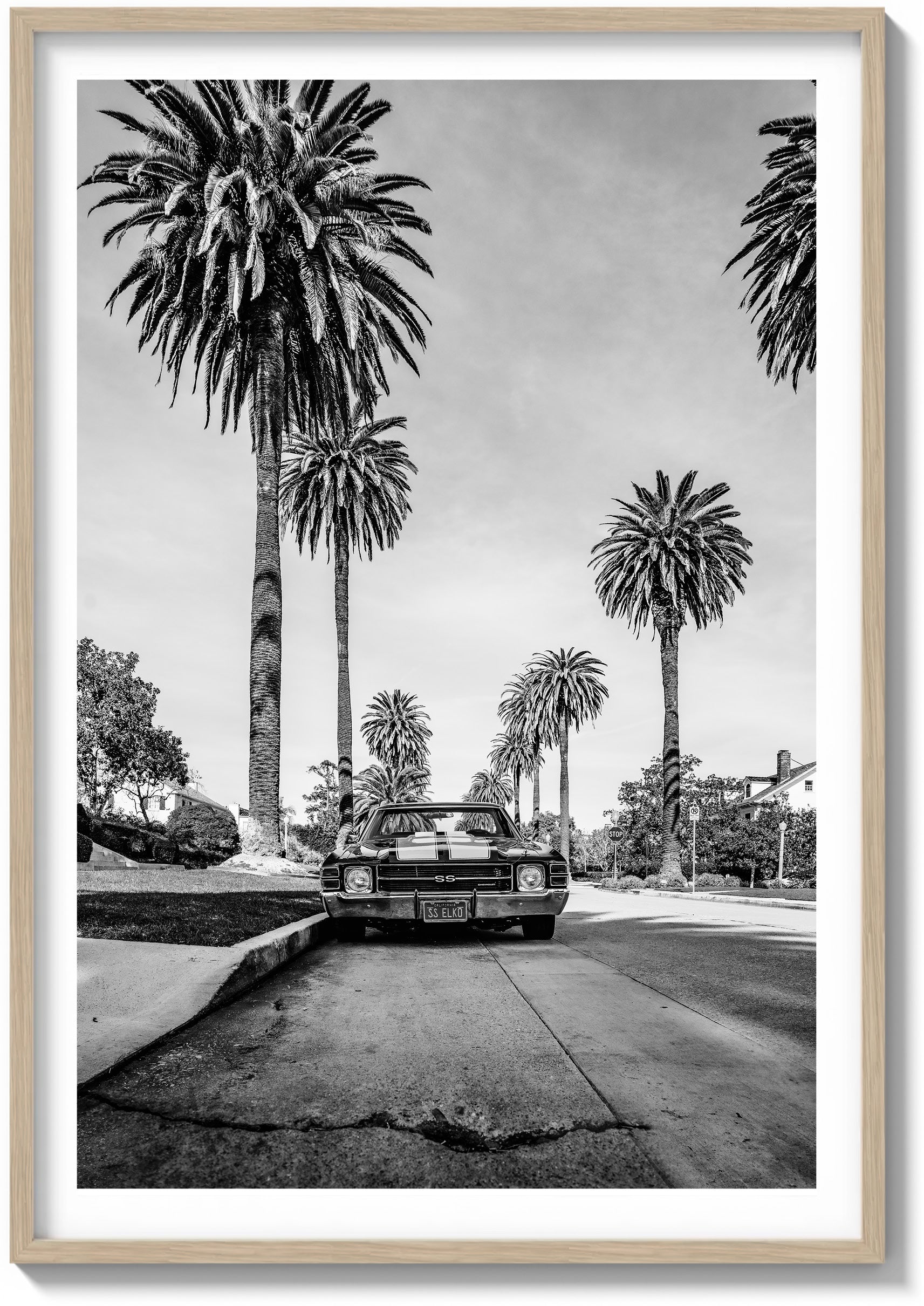 El Camino