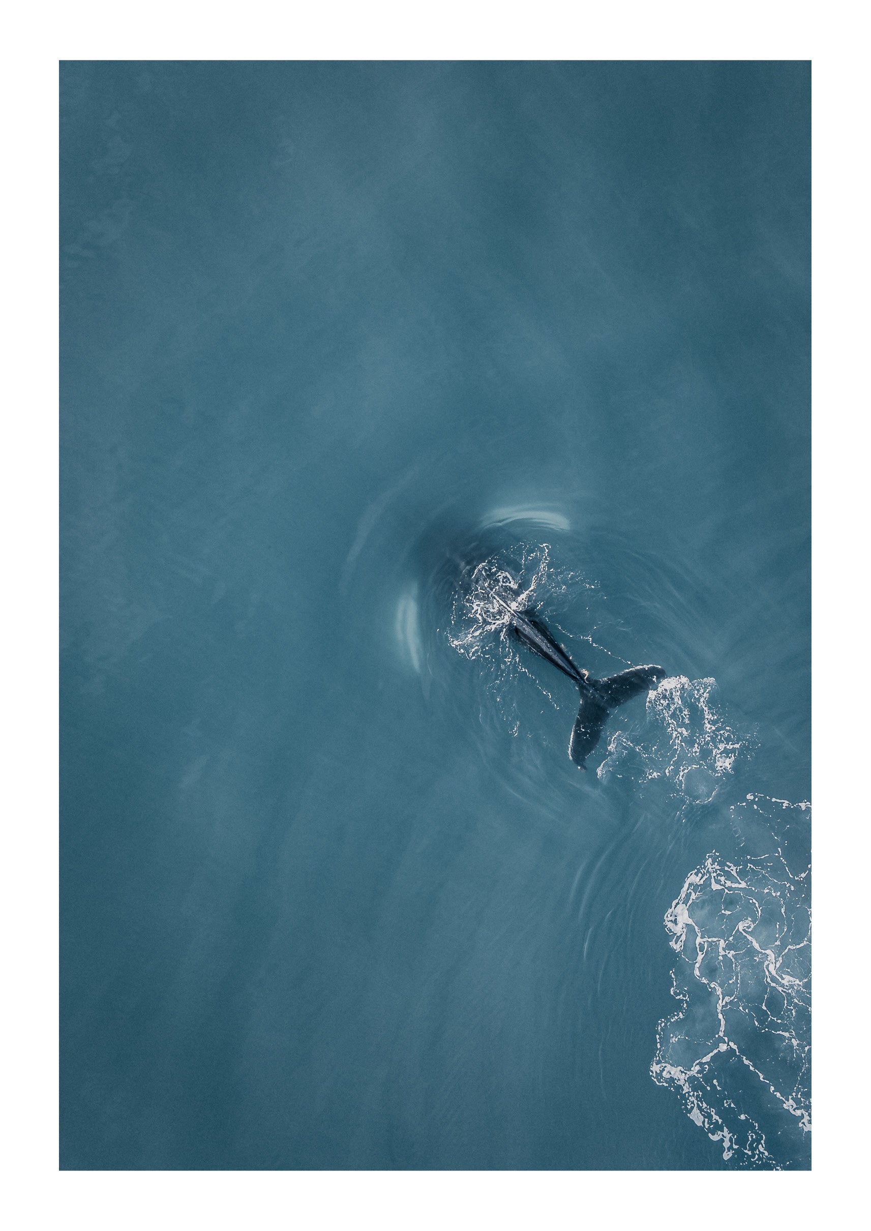 Migration