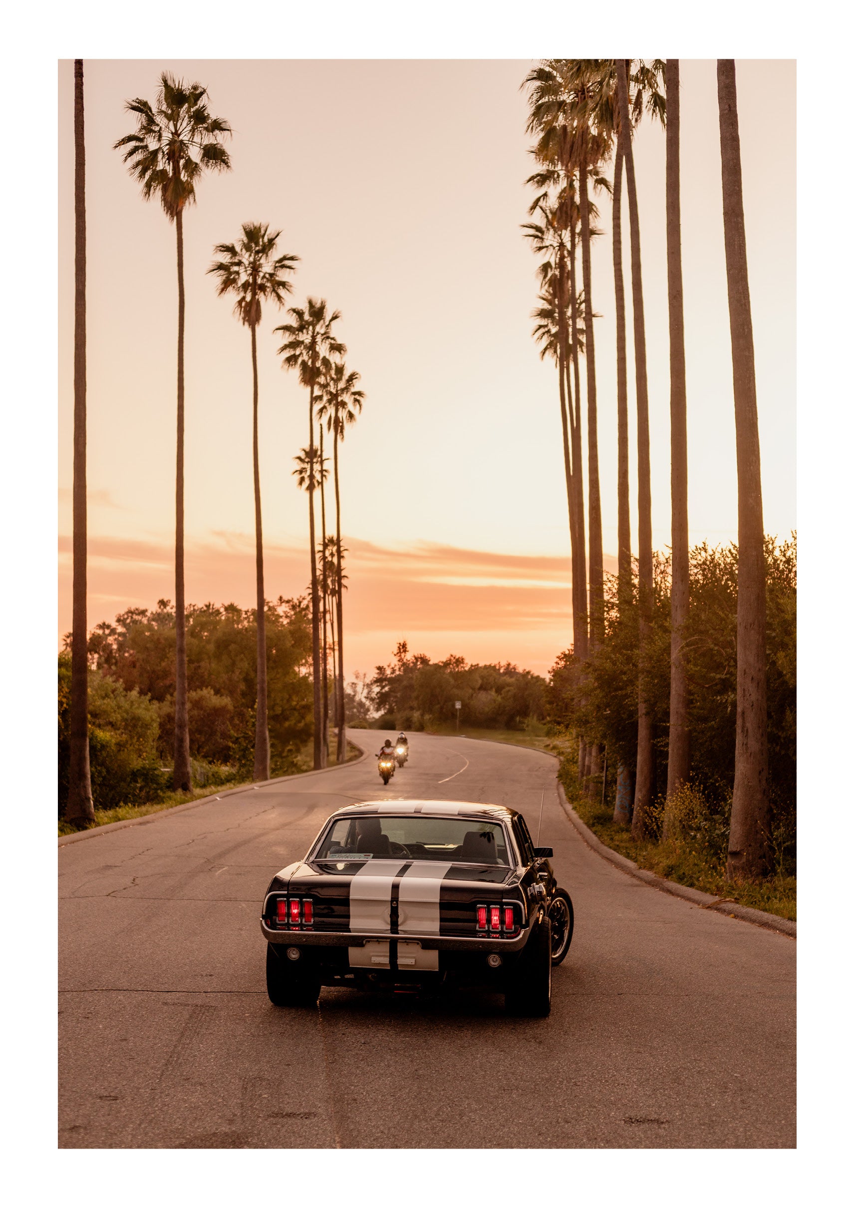 All-American Muscle