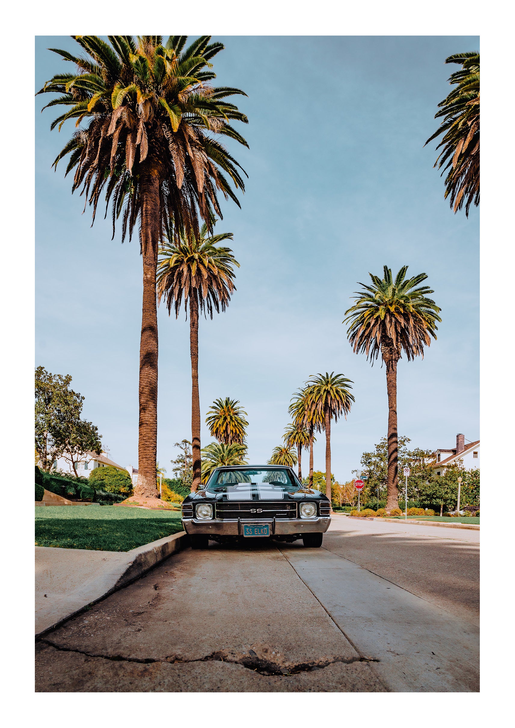 El Camino