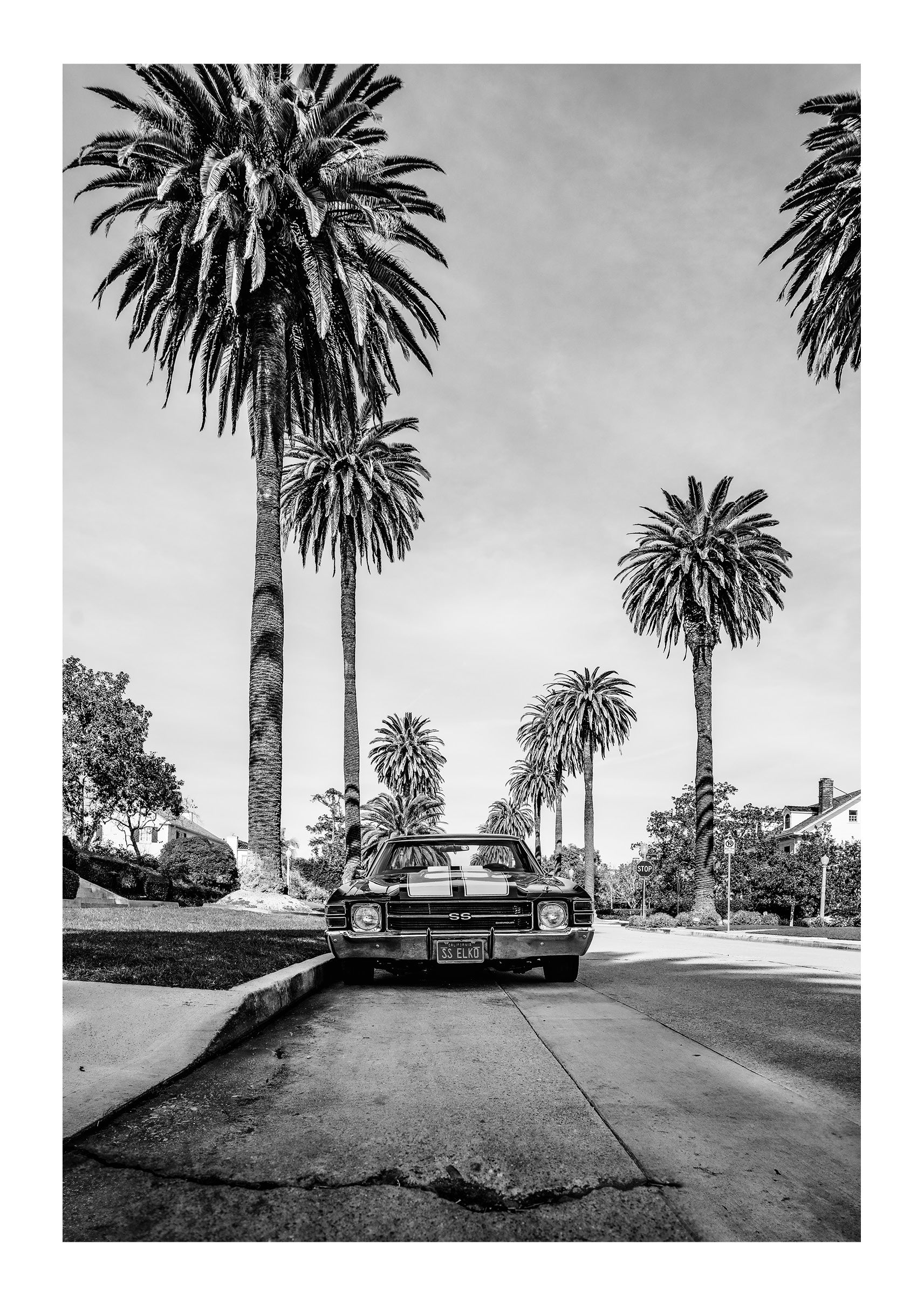 El Camino