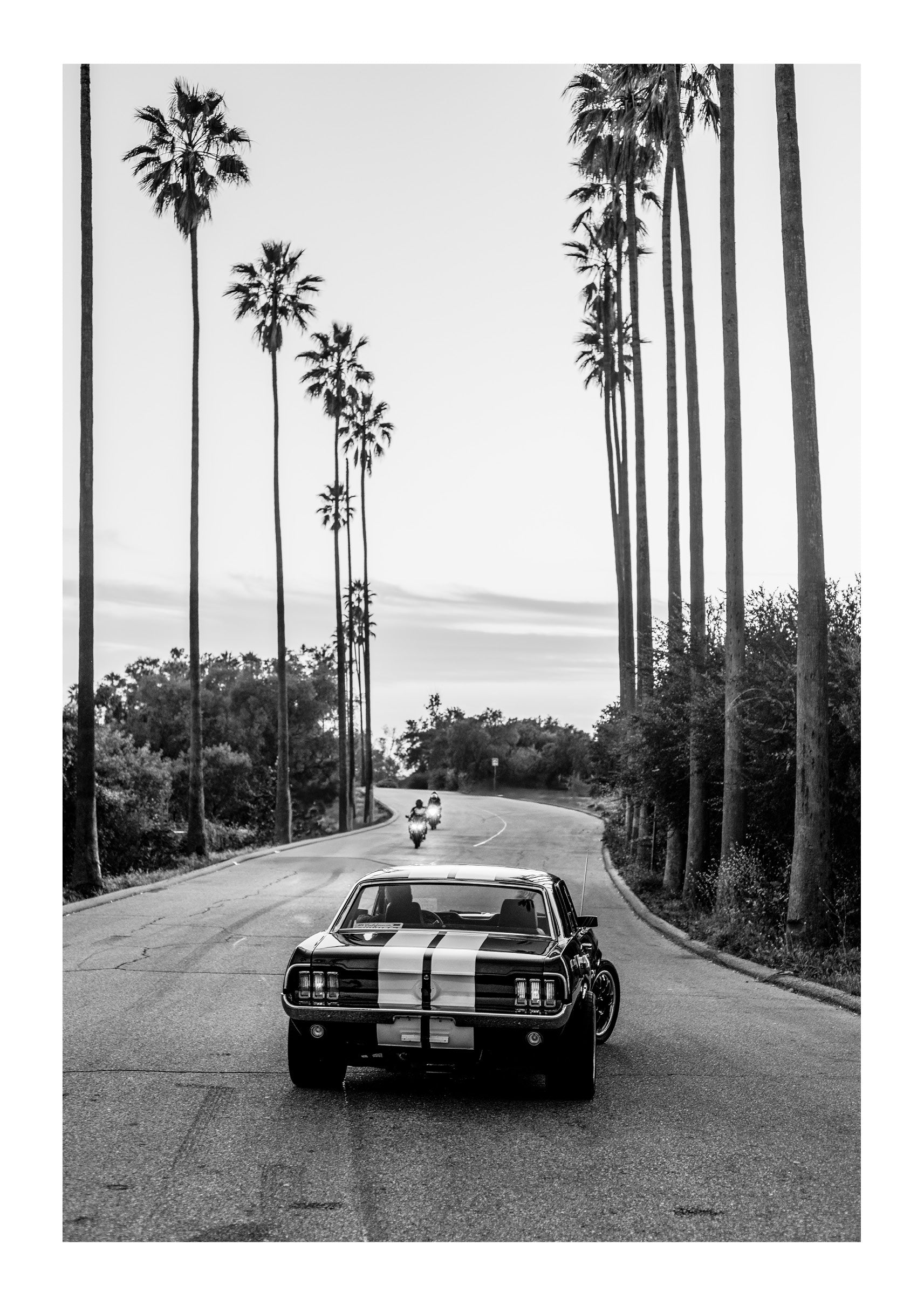 All-American Muscle