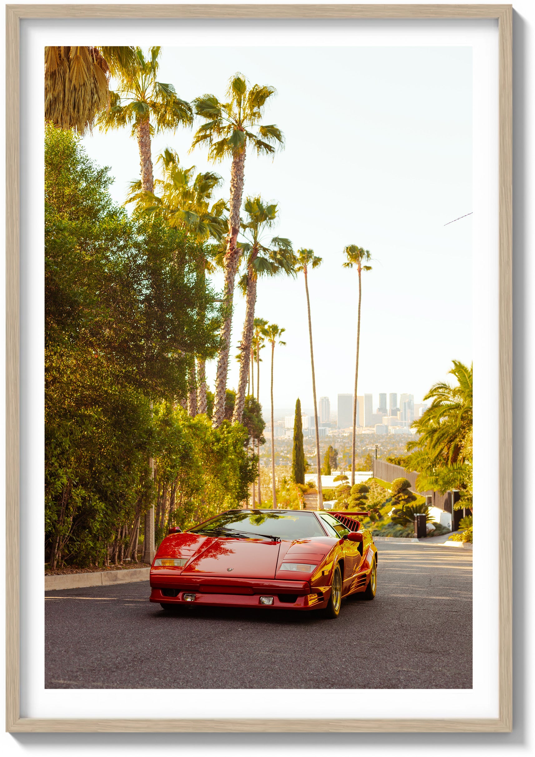 Hollywood Sun