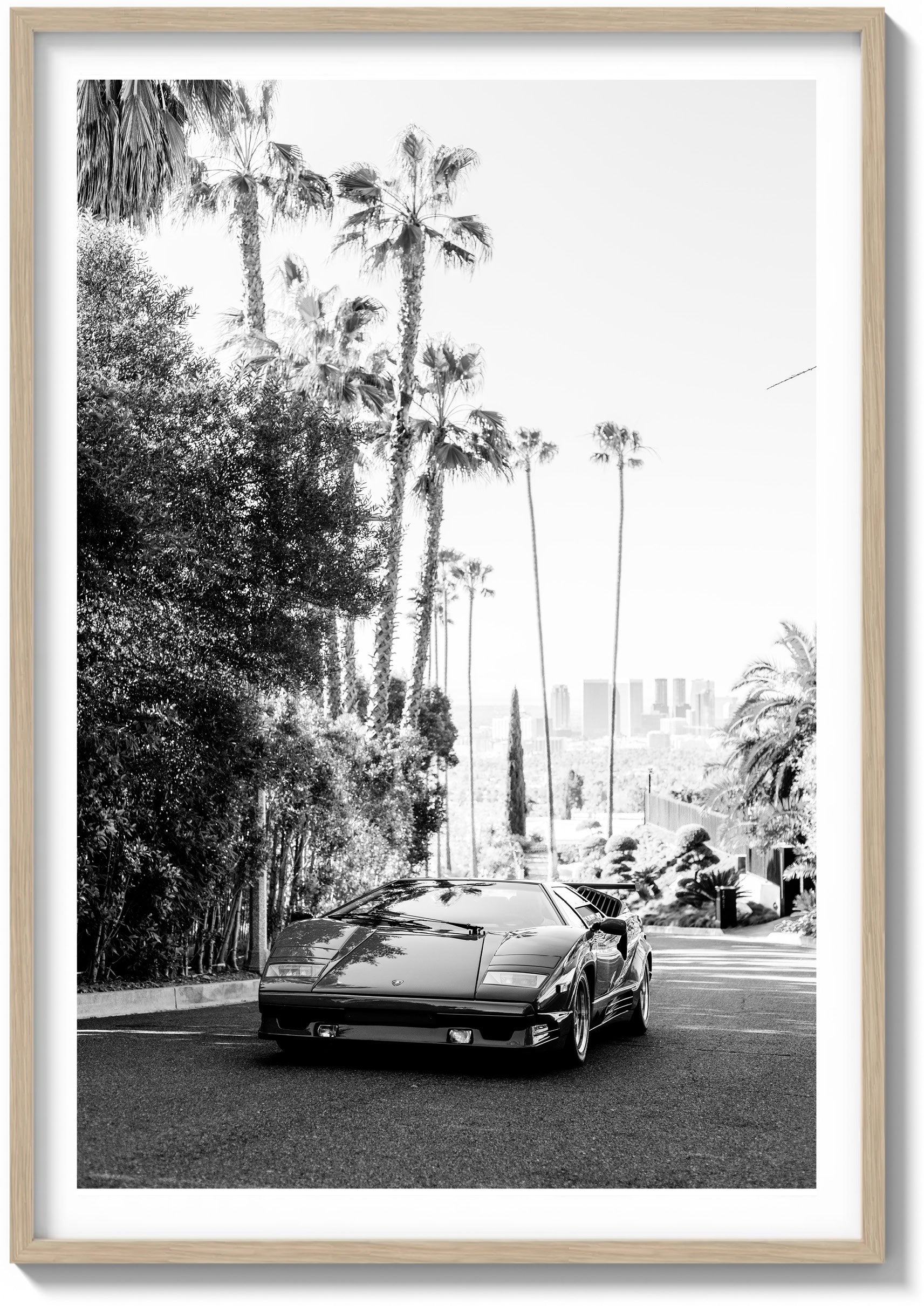 Hollywood Sun