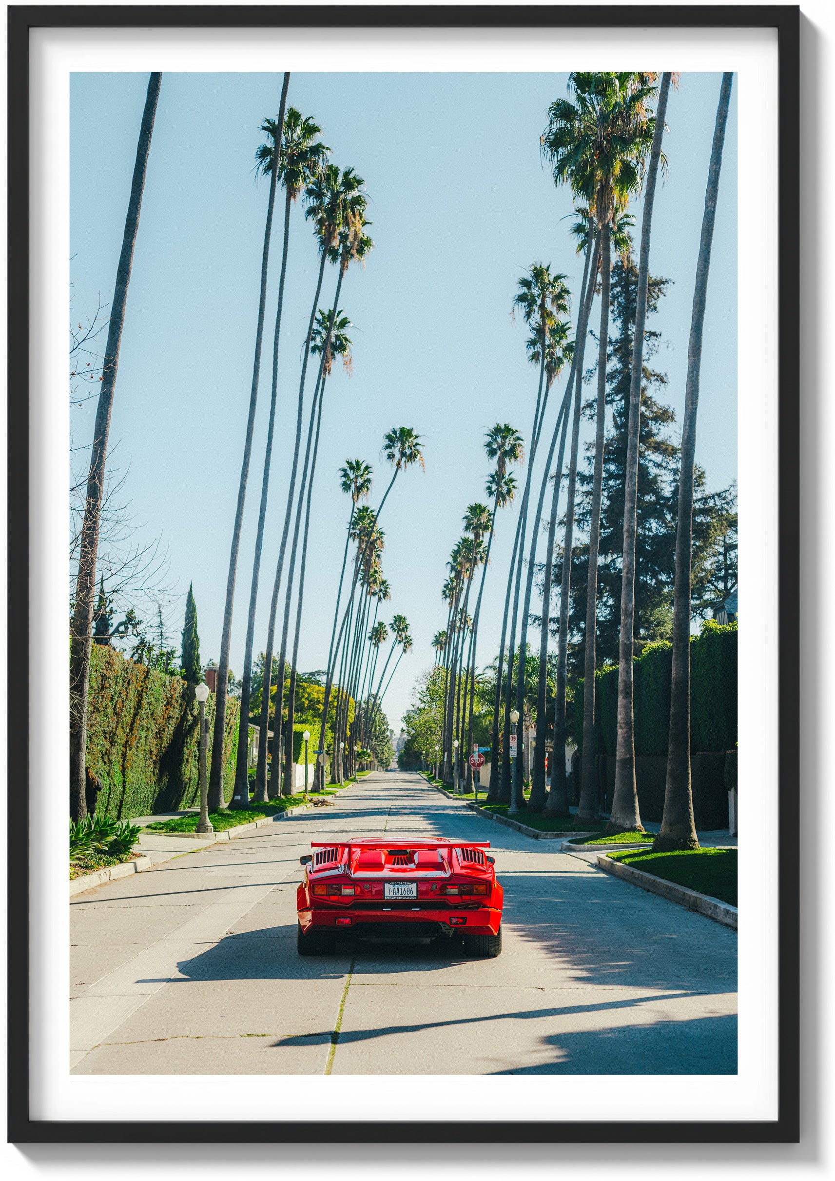 Beverly Hills Perfection