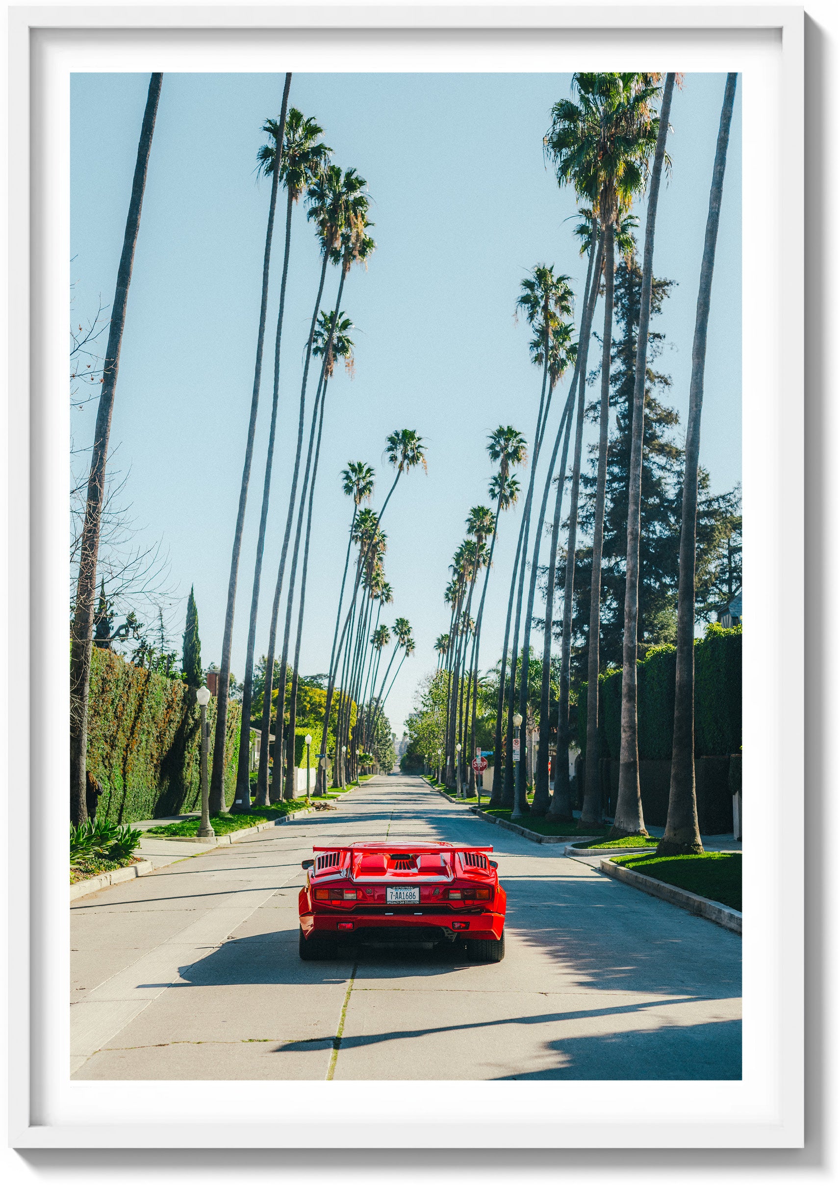 Beverly Hills Perfection