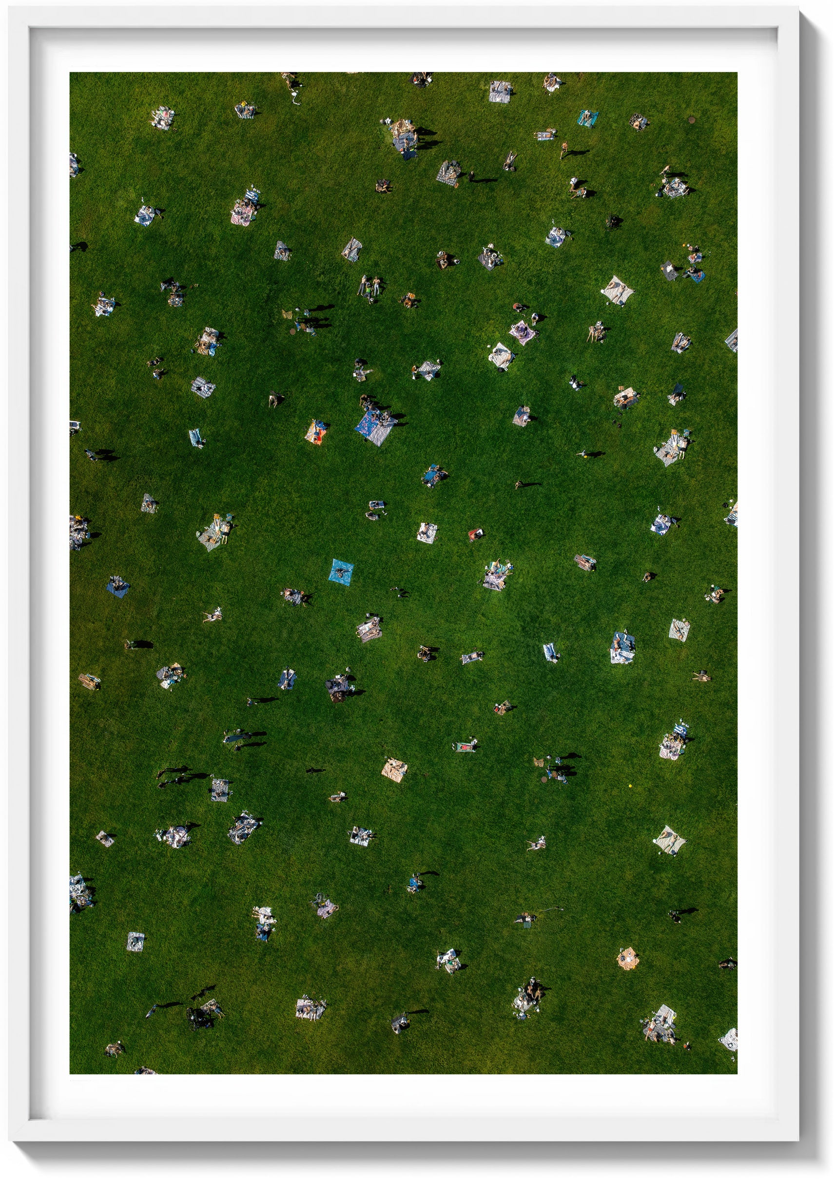 Sheep Meadow Sunbathers
