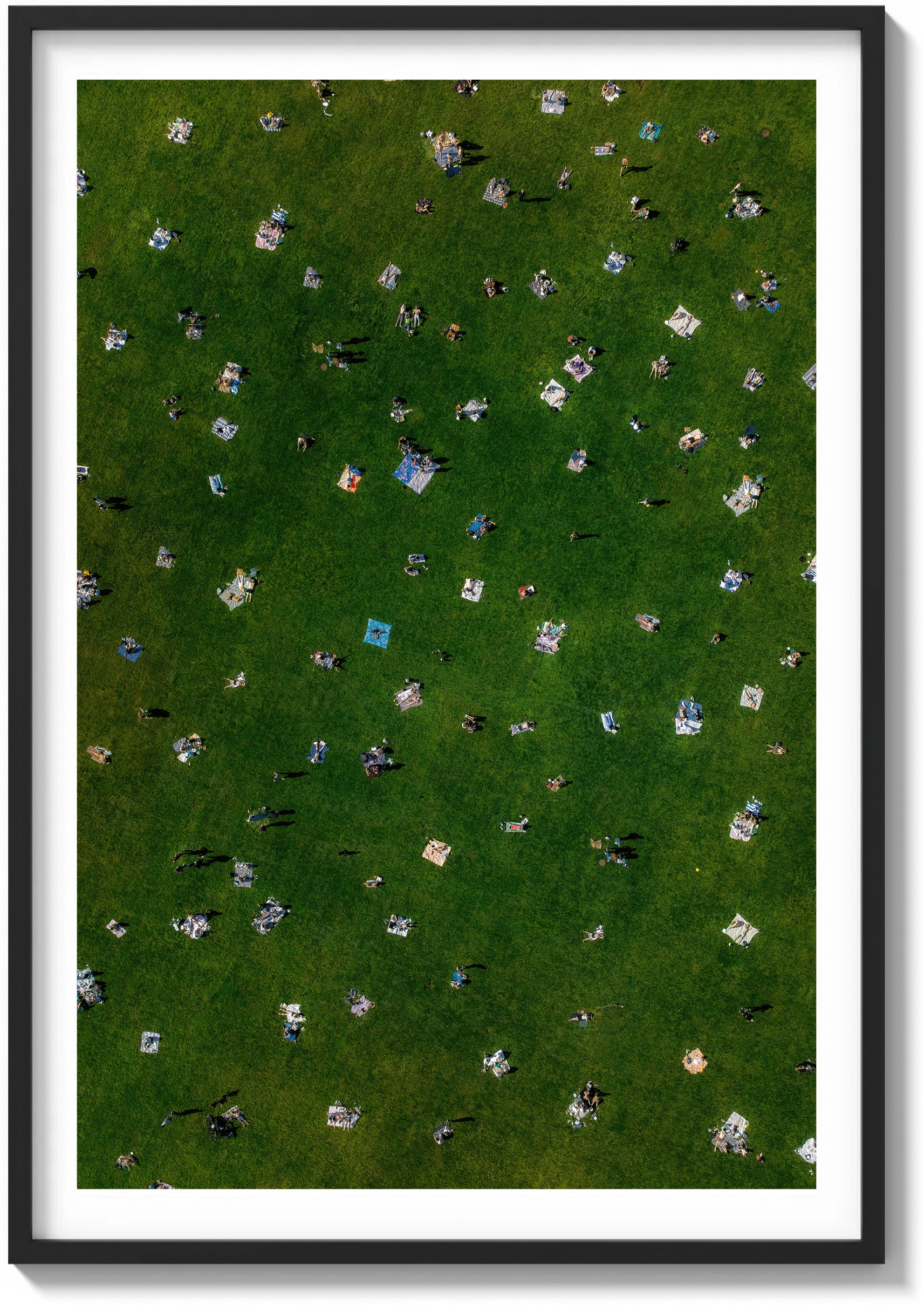 Sheep Meadow Sunbathers