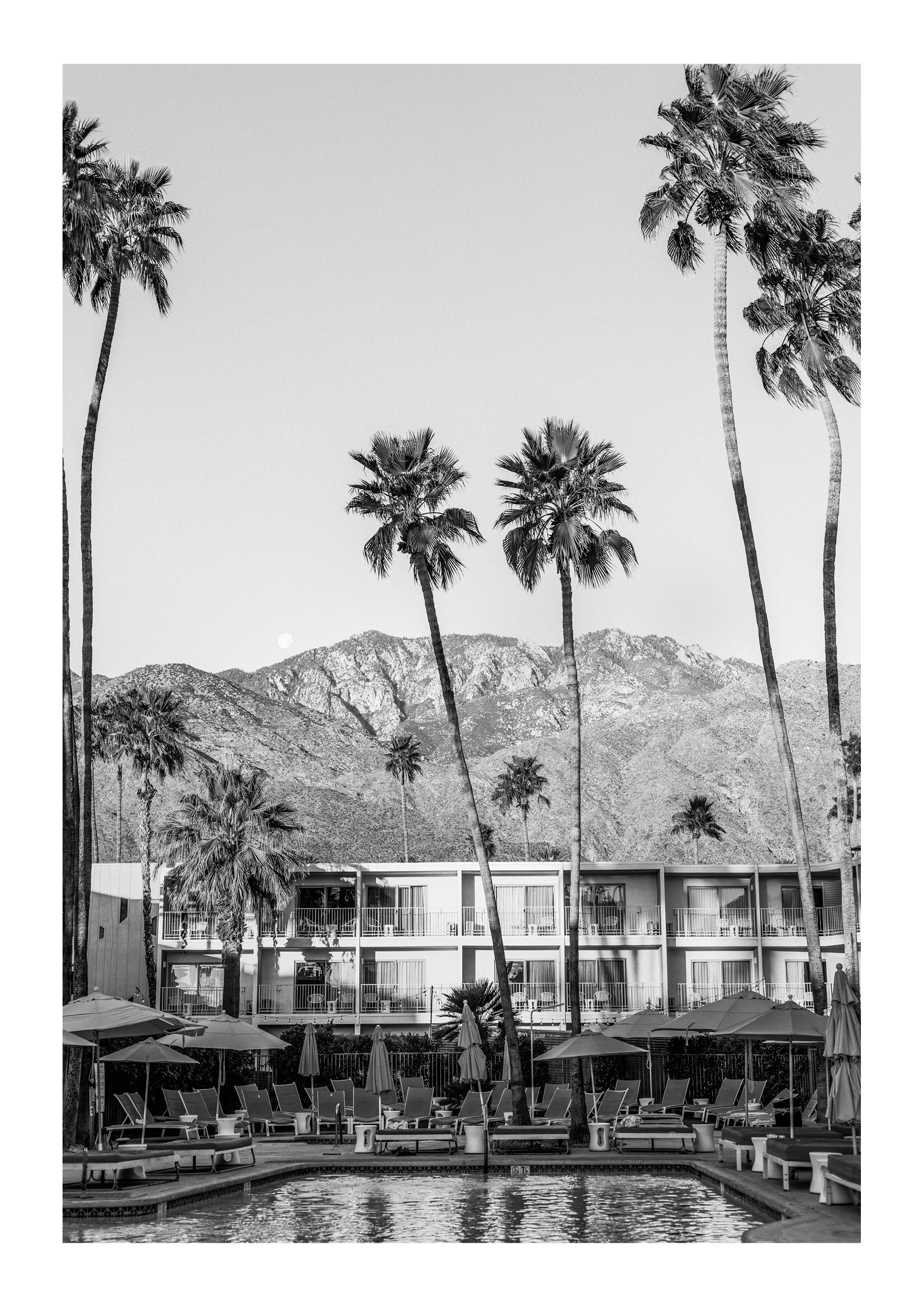 Oasis In The Desert