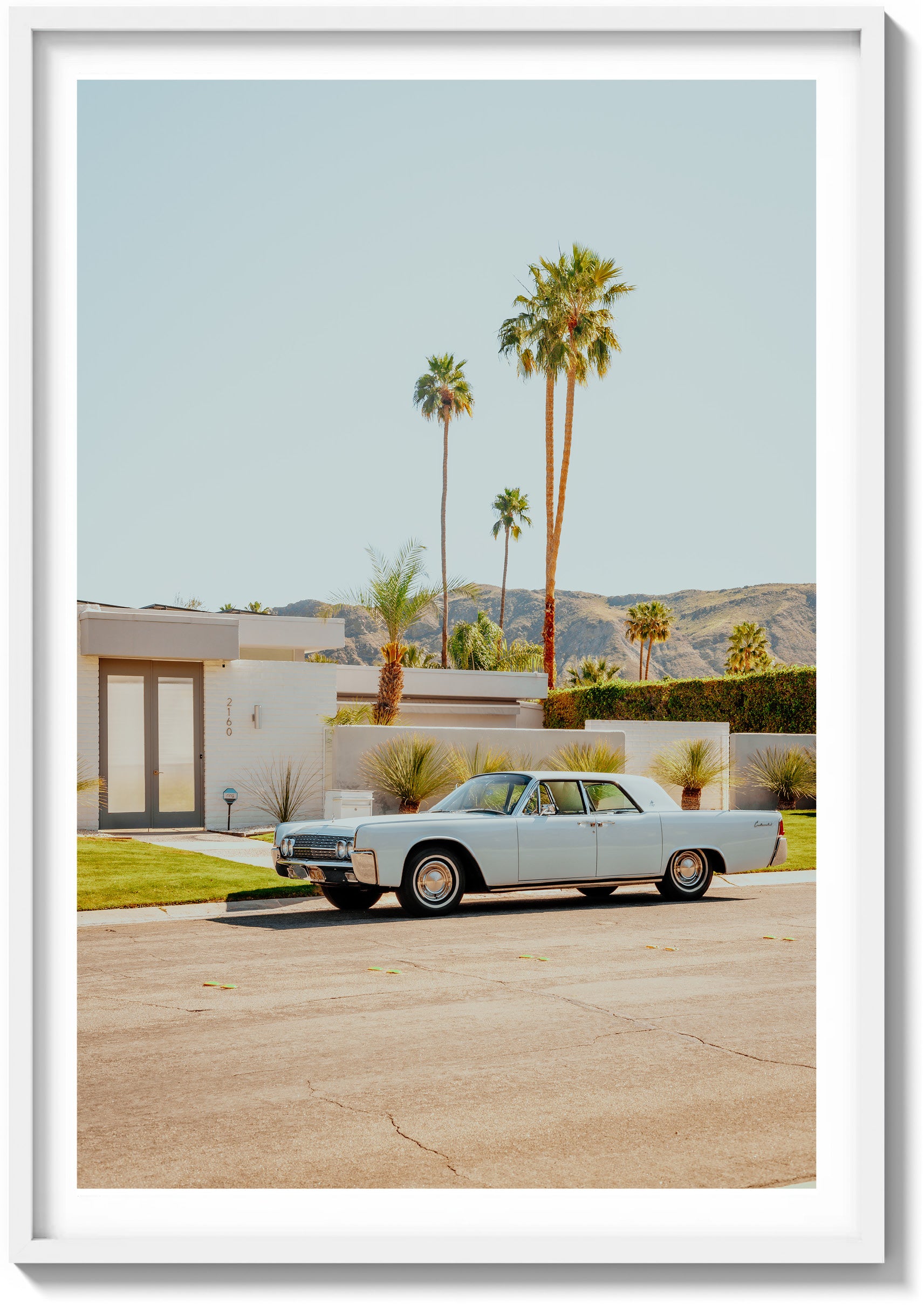 Palm Springs Perfection