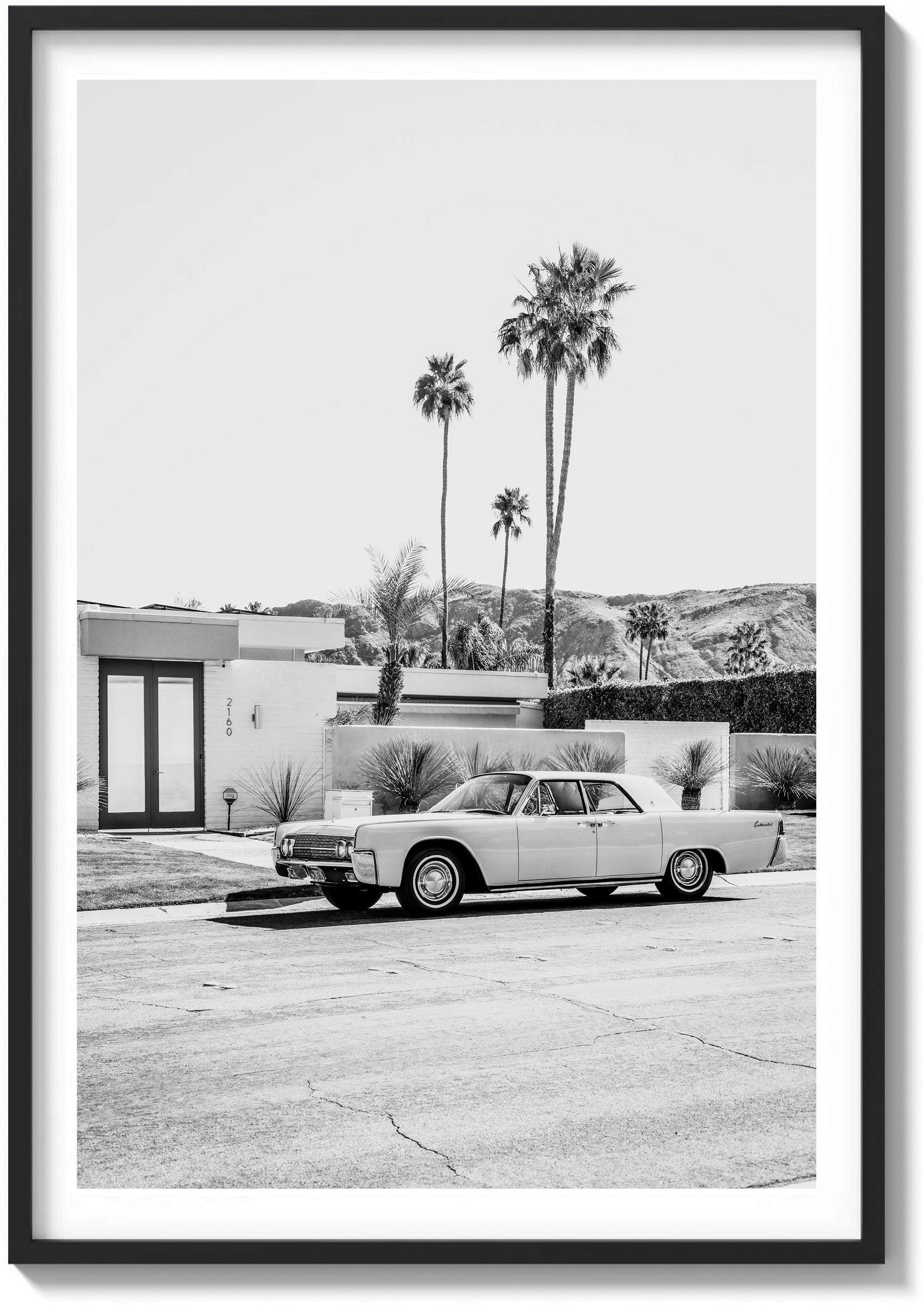 Palm Springs Perfection