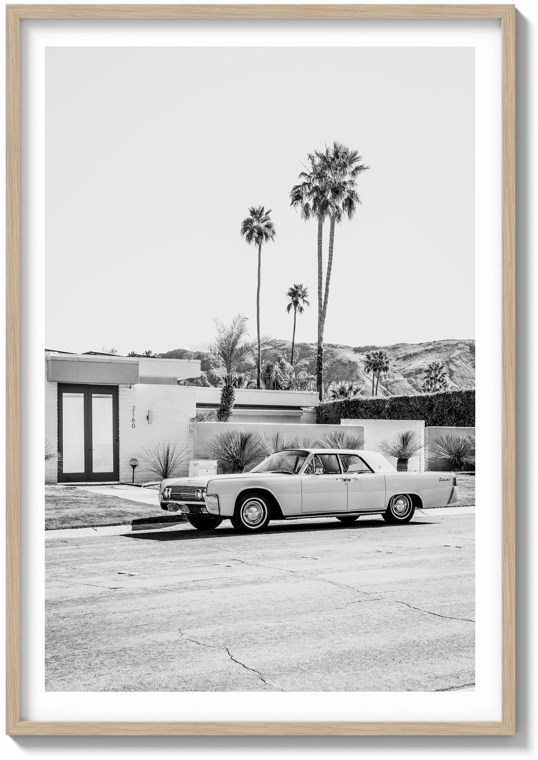 Palm Springs Perfection
