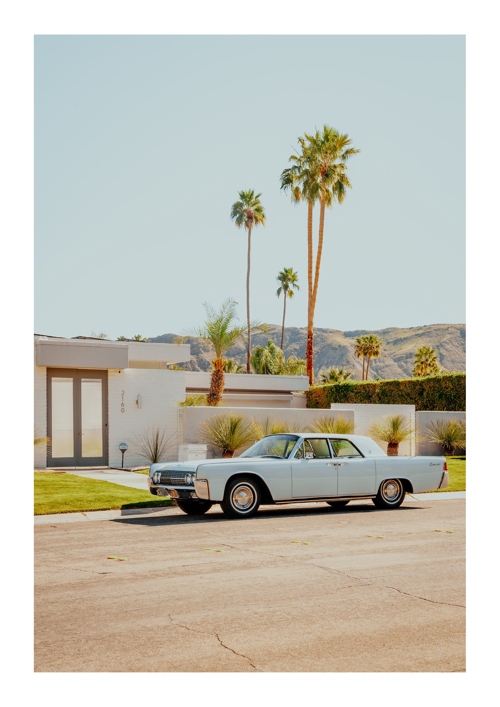 Palm Springs Perfection