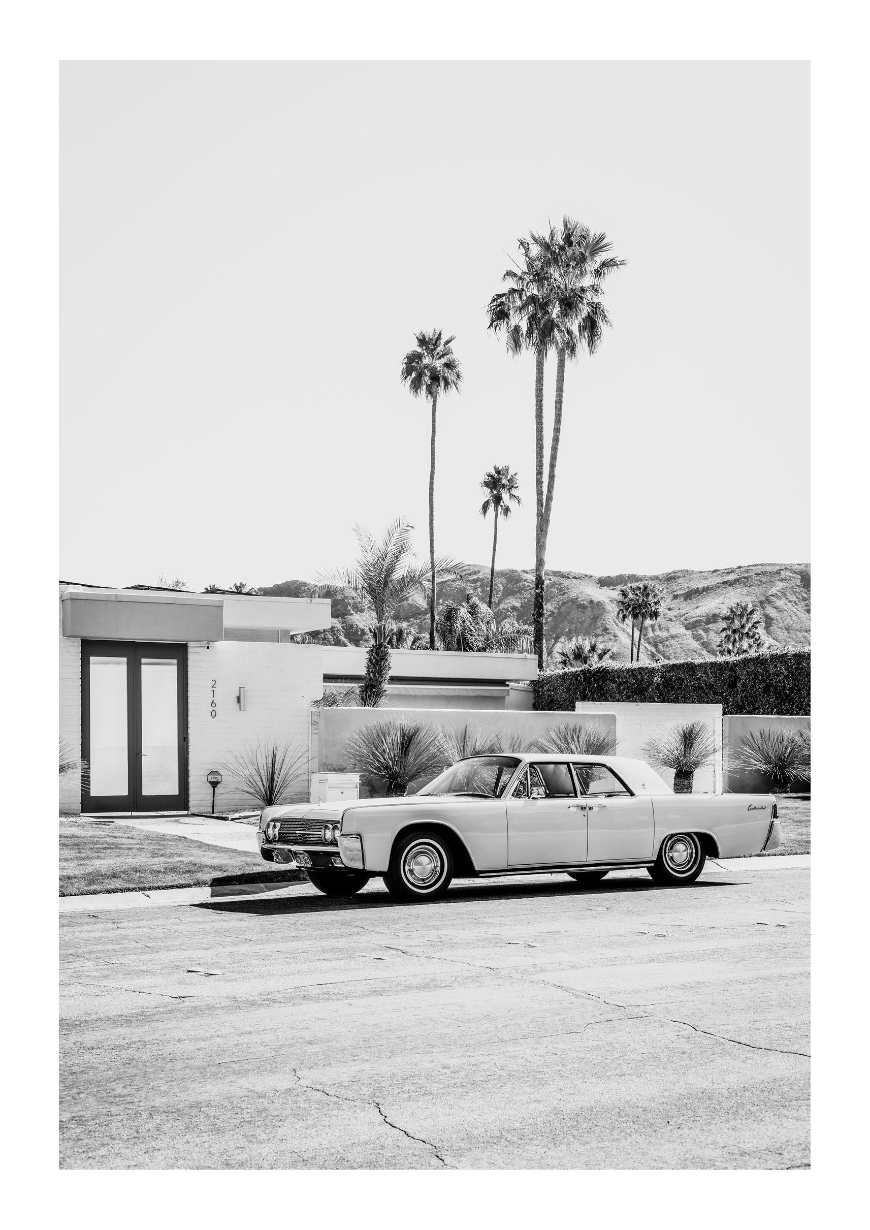 Palm Springs Perfection