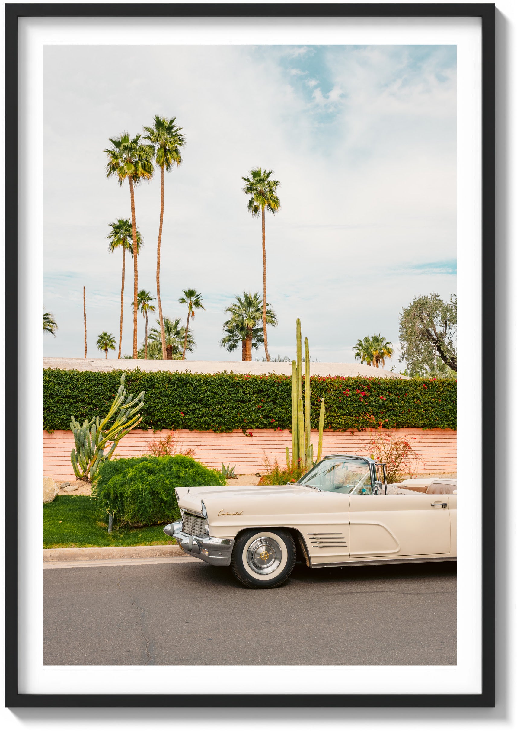Palette of Palm Springs