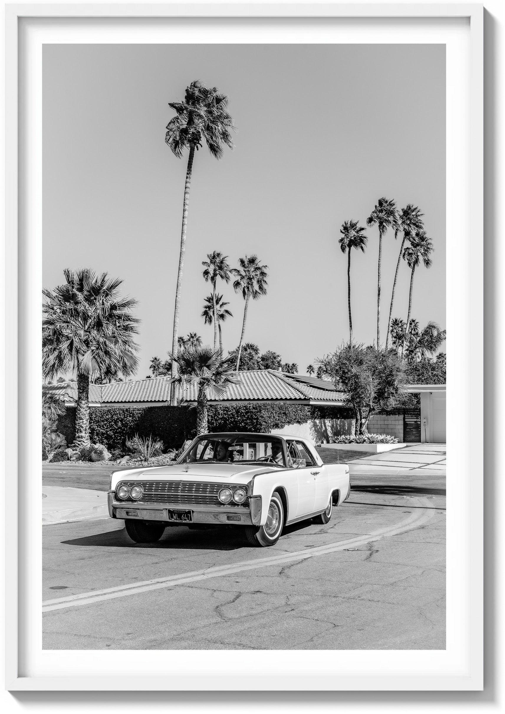 Desert Joy Ride