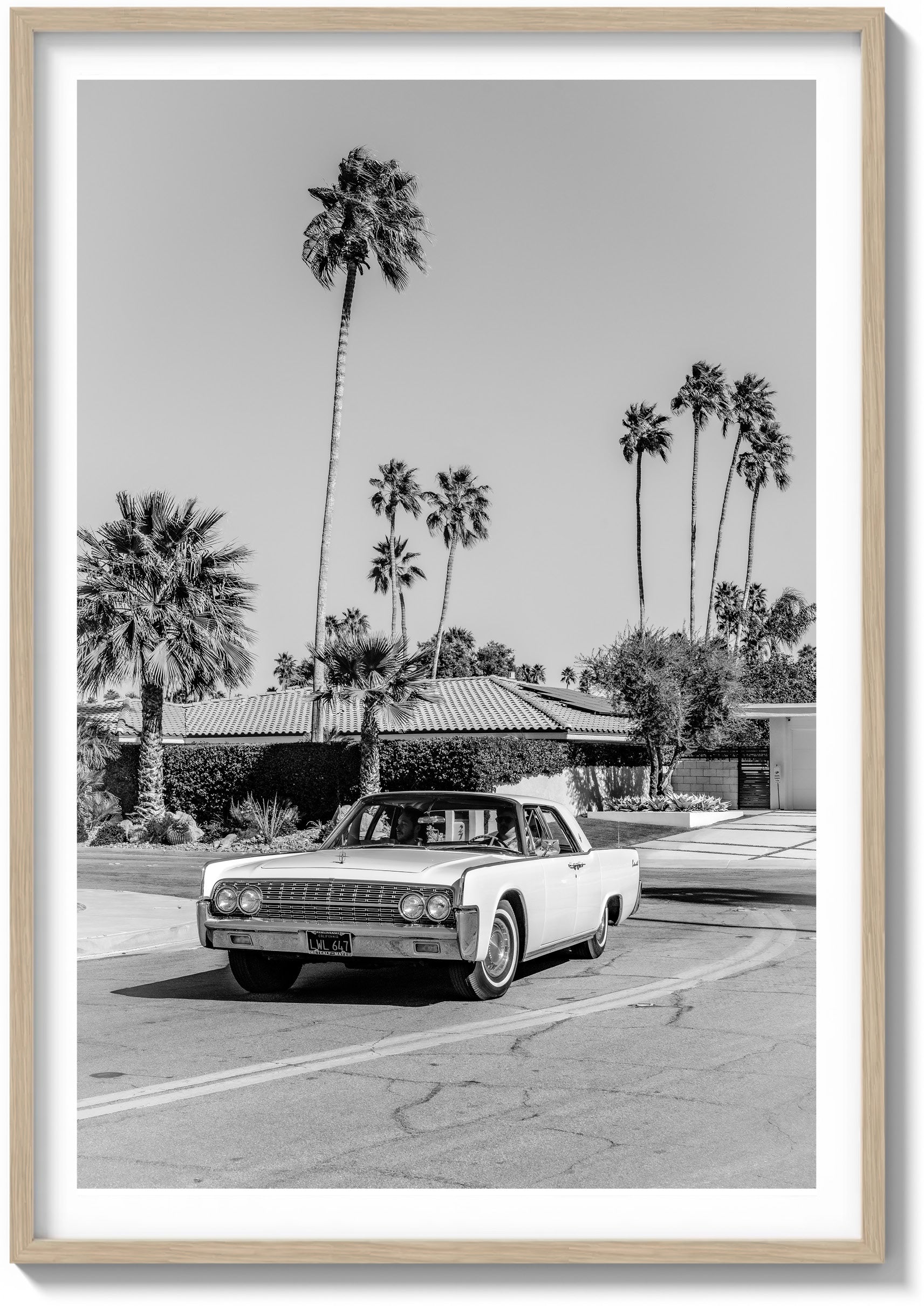 Desert Joy Ride